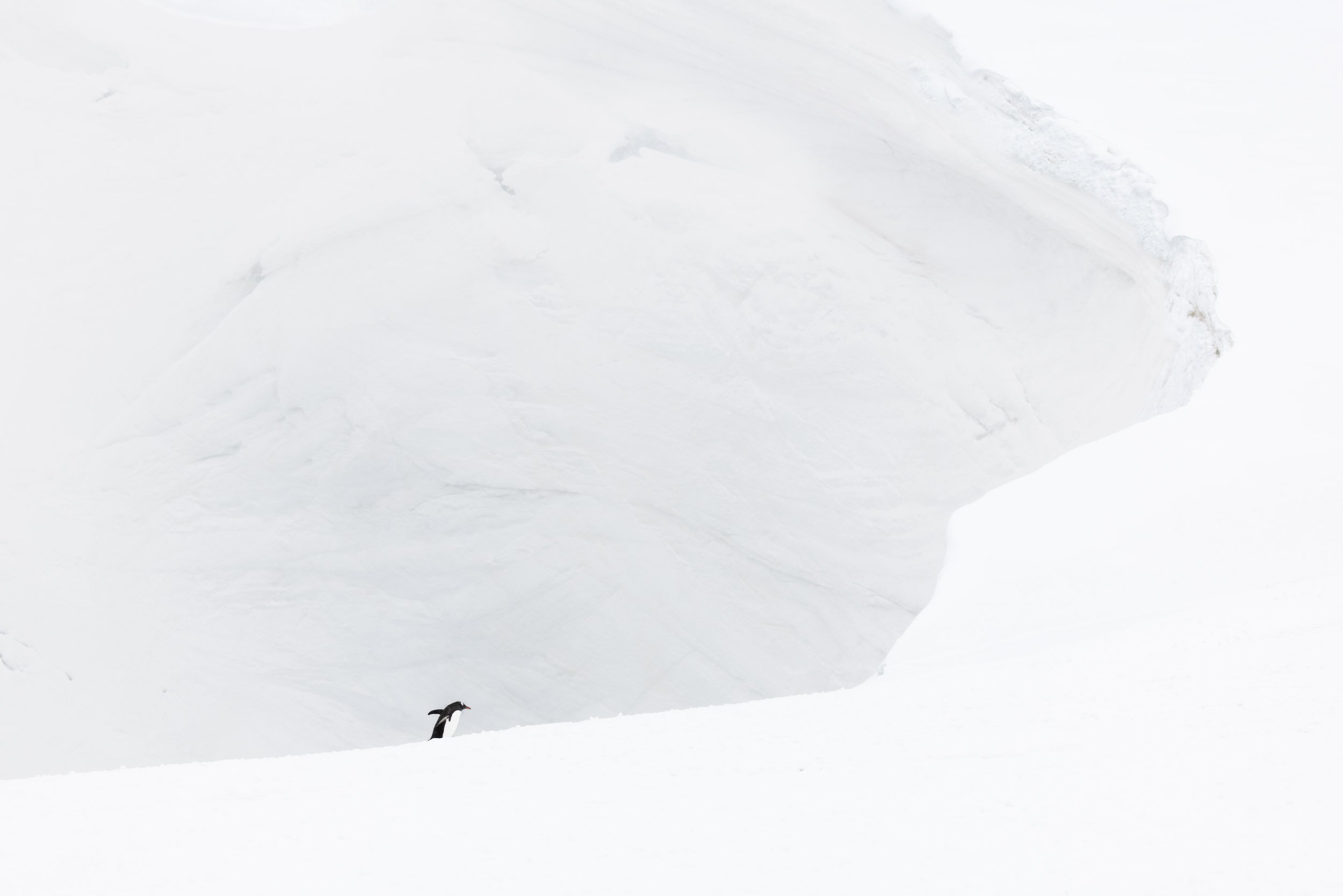 Behind the Frame: On a Mission