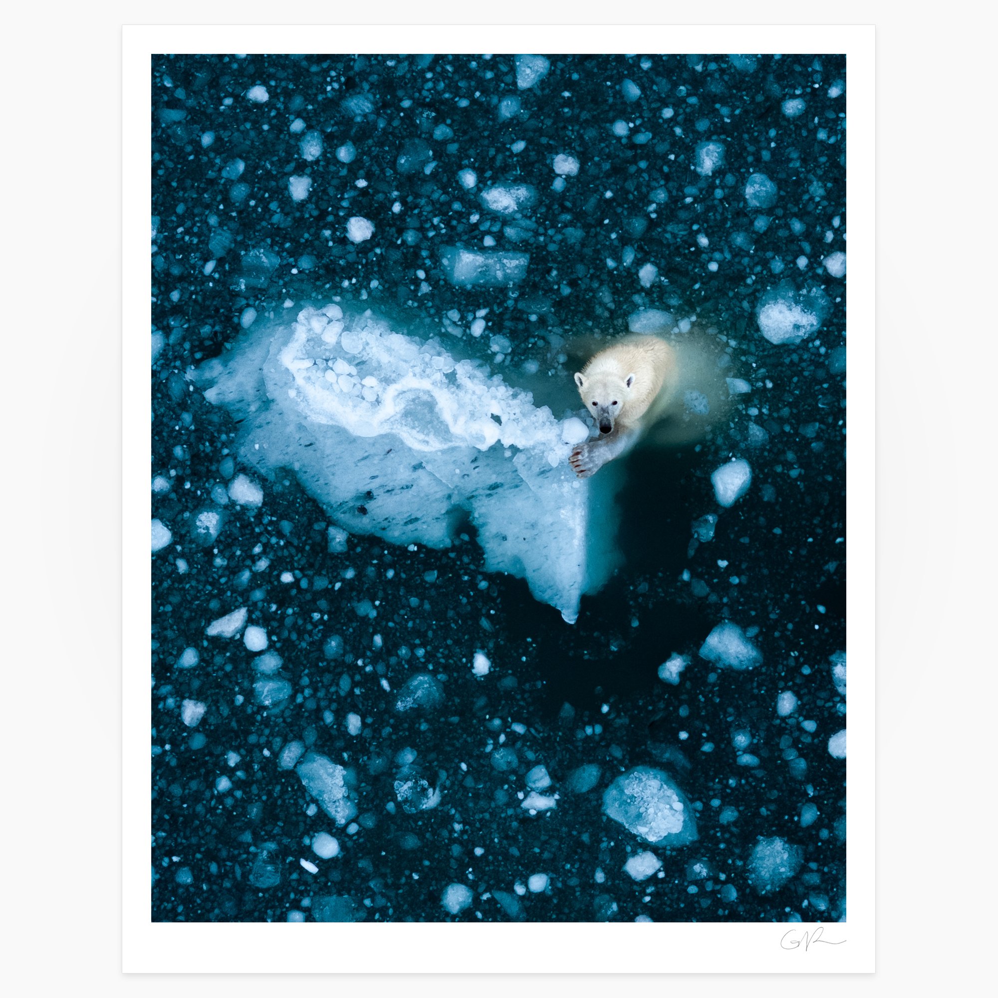 Amongst the Ice