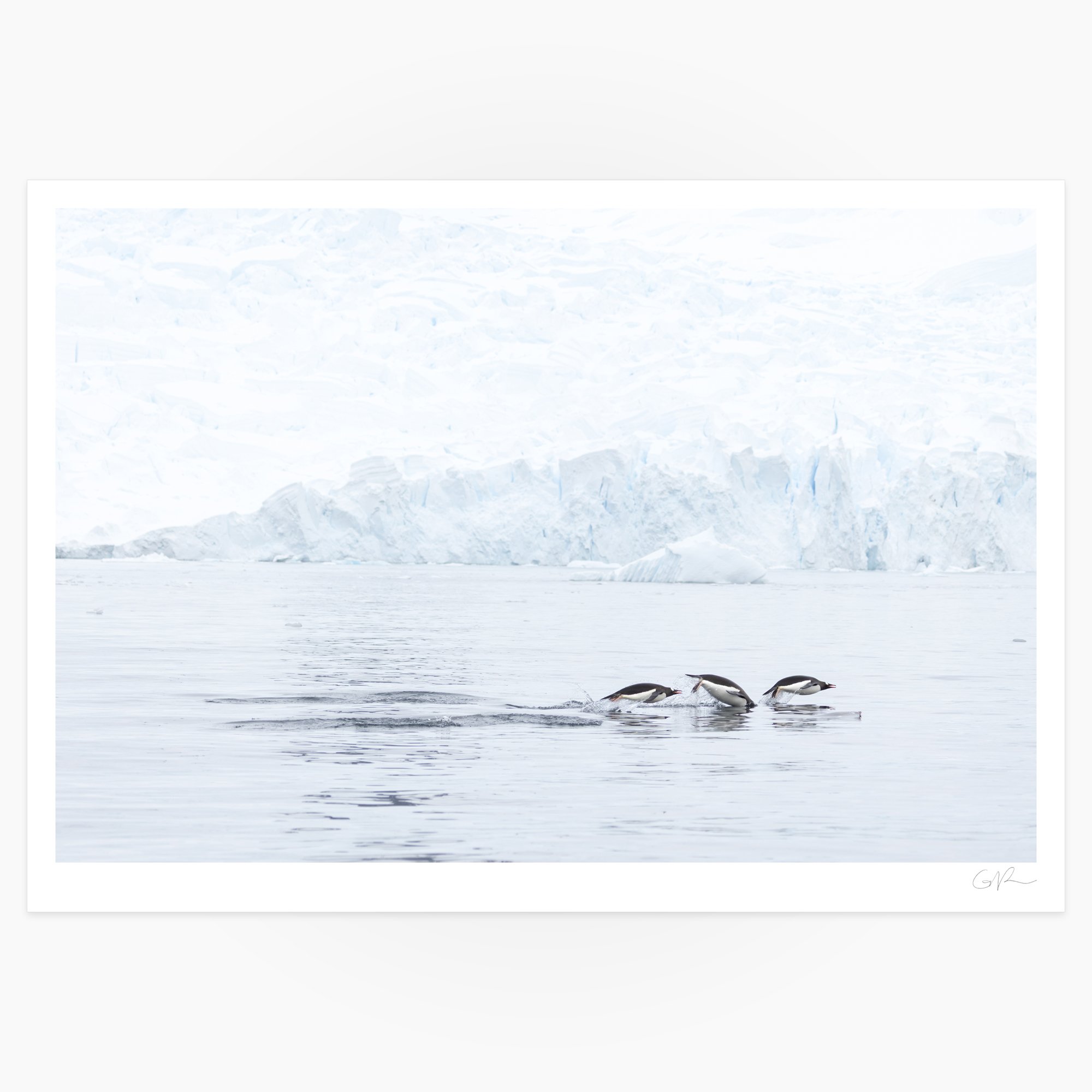 Swim in Threes_0000_Full_13x19.jpg