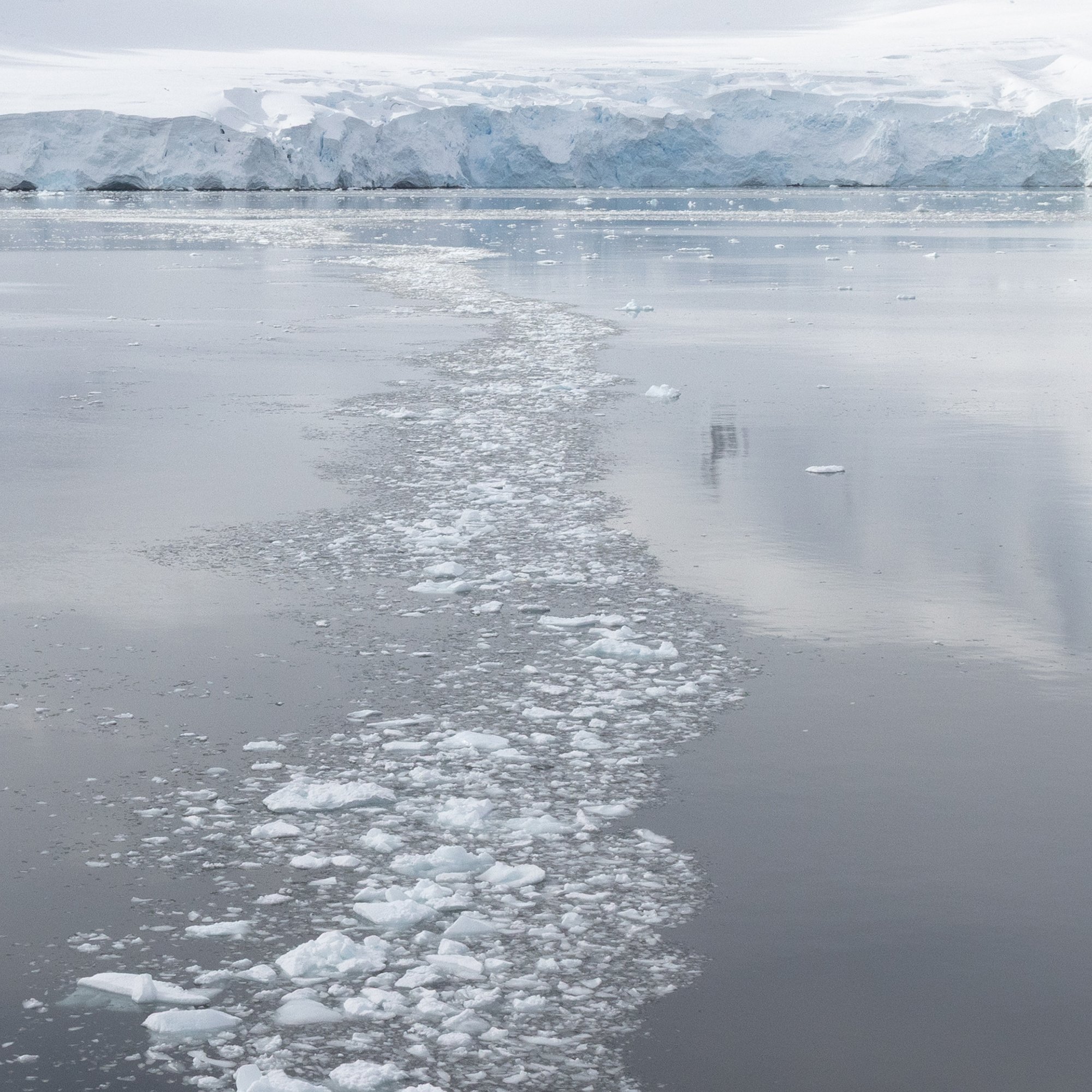 Ice Trails_0001_Detail.jpg