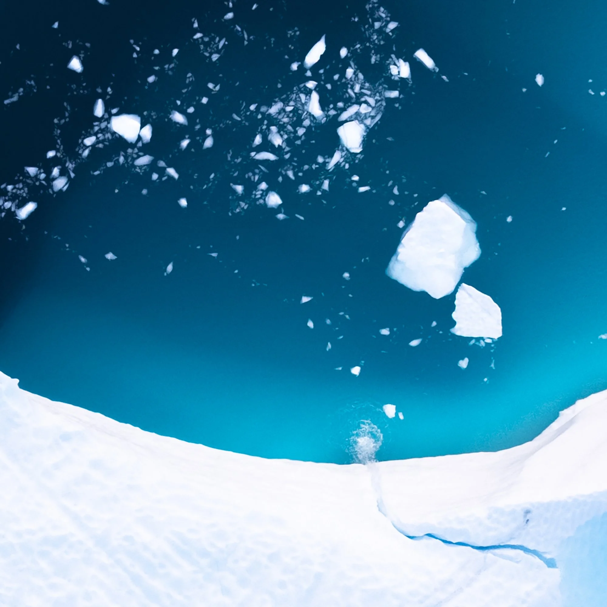 Through the Ice_0001_Detail.jpg