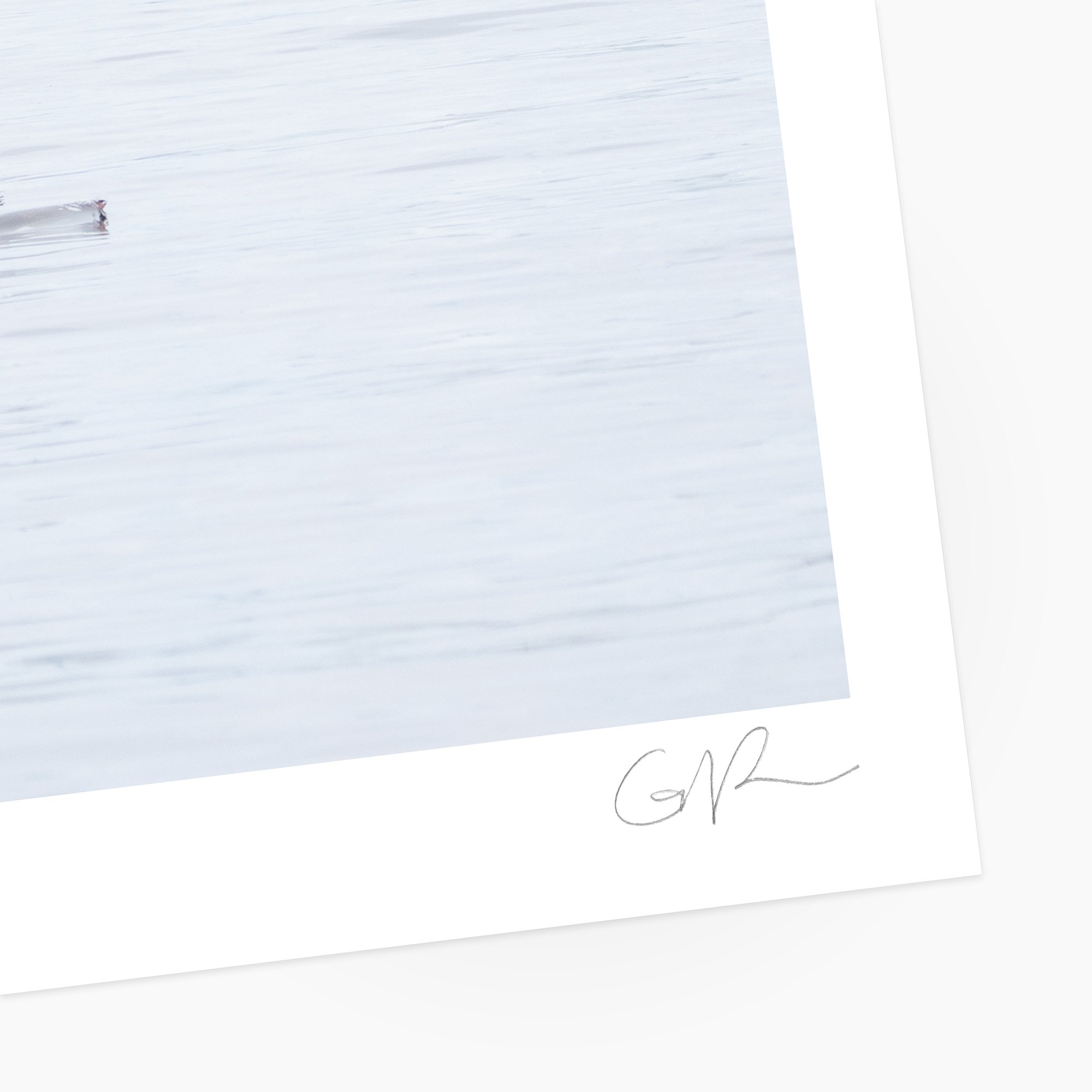 Swim in Threes_0002_Sig.jpg