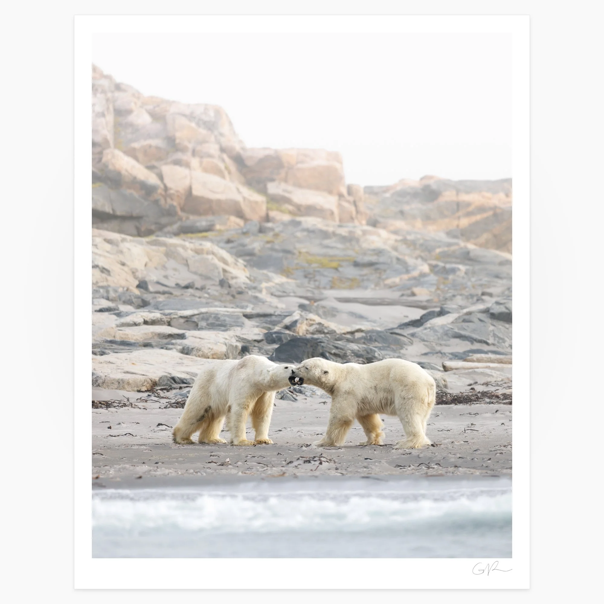 Polar Encounter