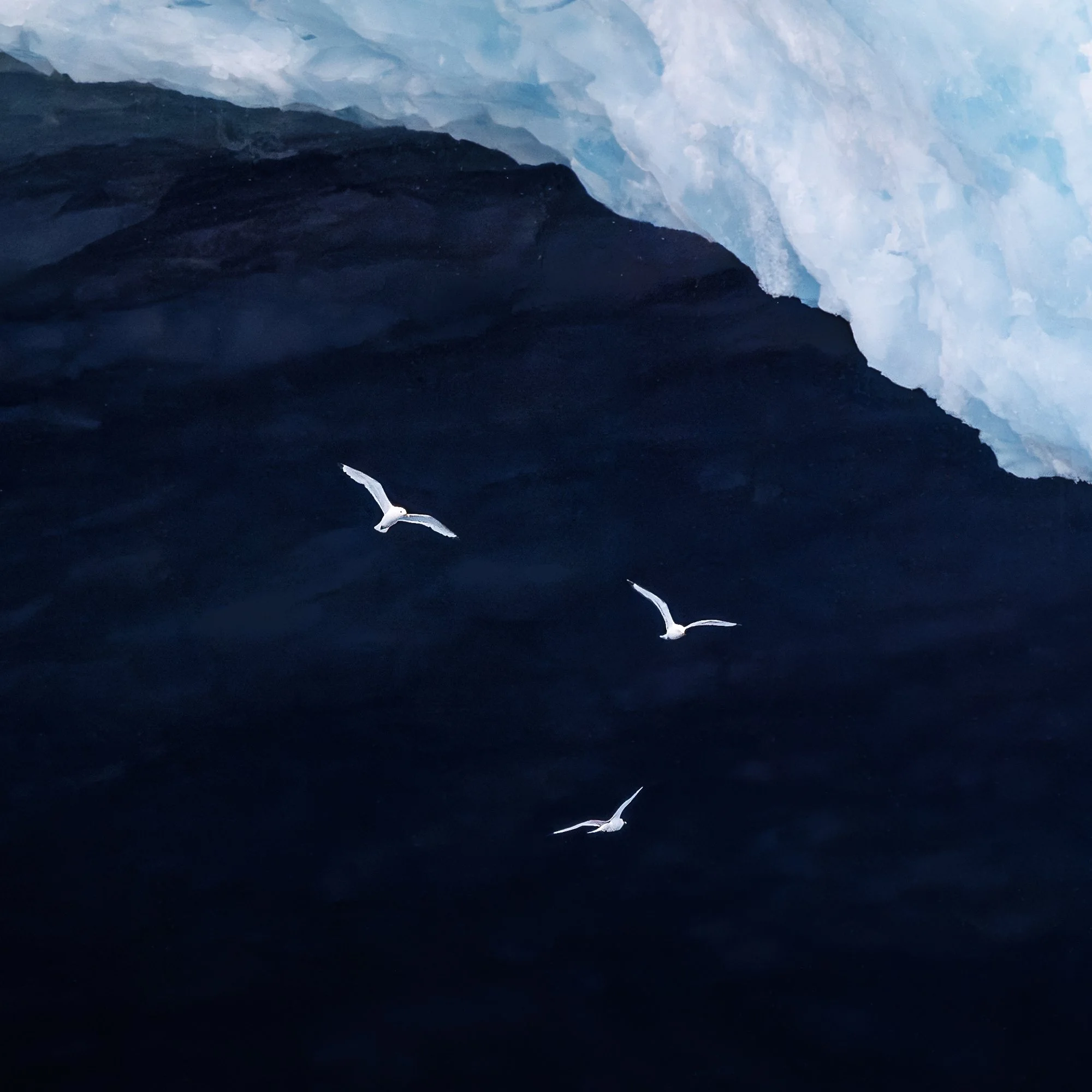 Beneath a Glacier_0001_Detail.jpg