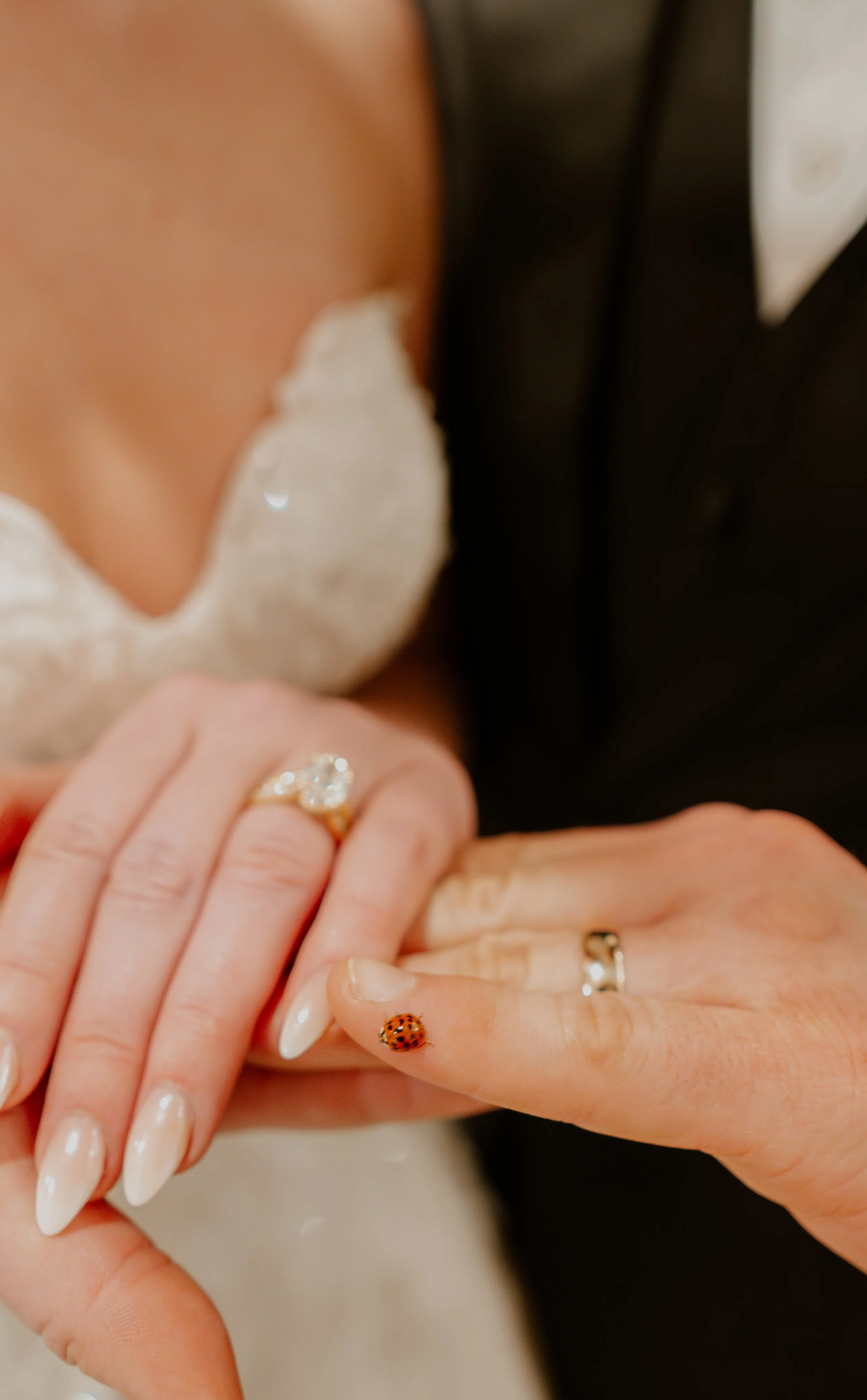 They tied the knot, Preston & Elyse!