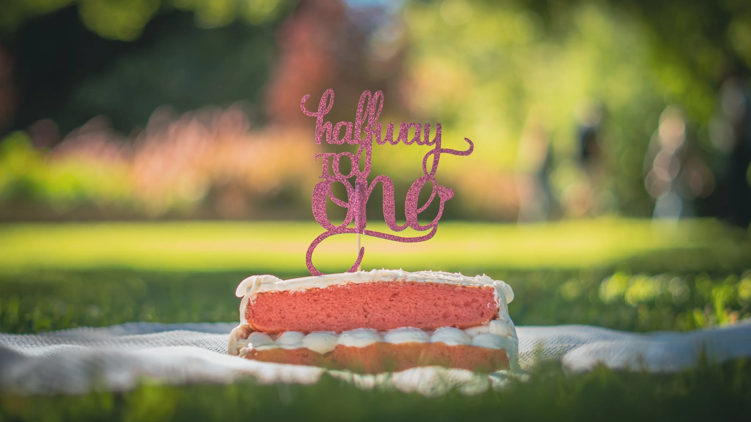 An Adorable Birthday Celebration – Dania and Family