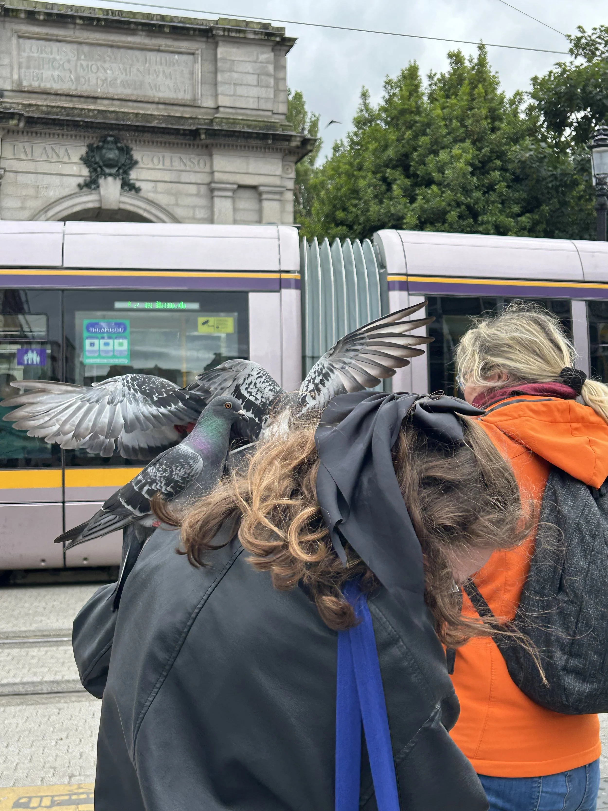 Kat made a new friend in Dublin!