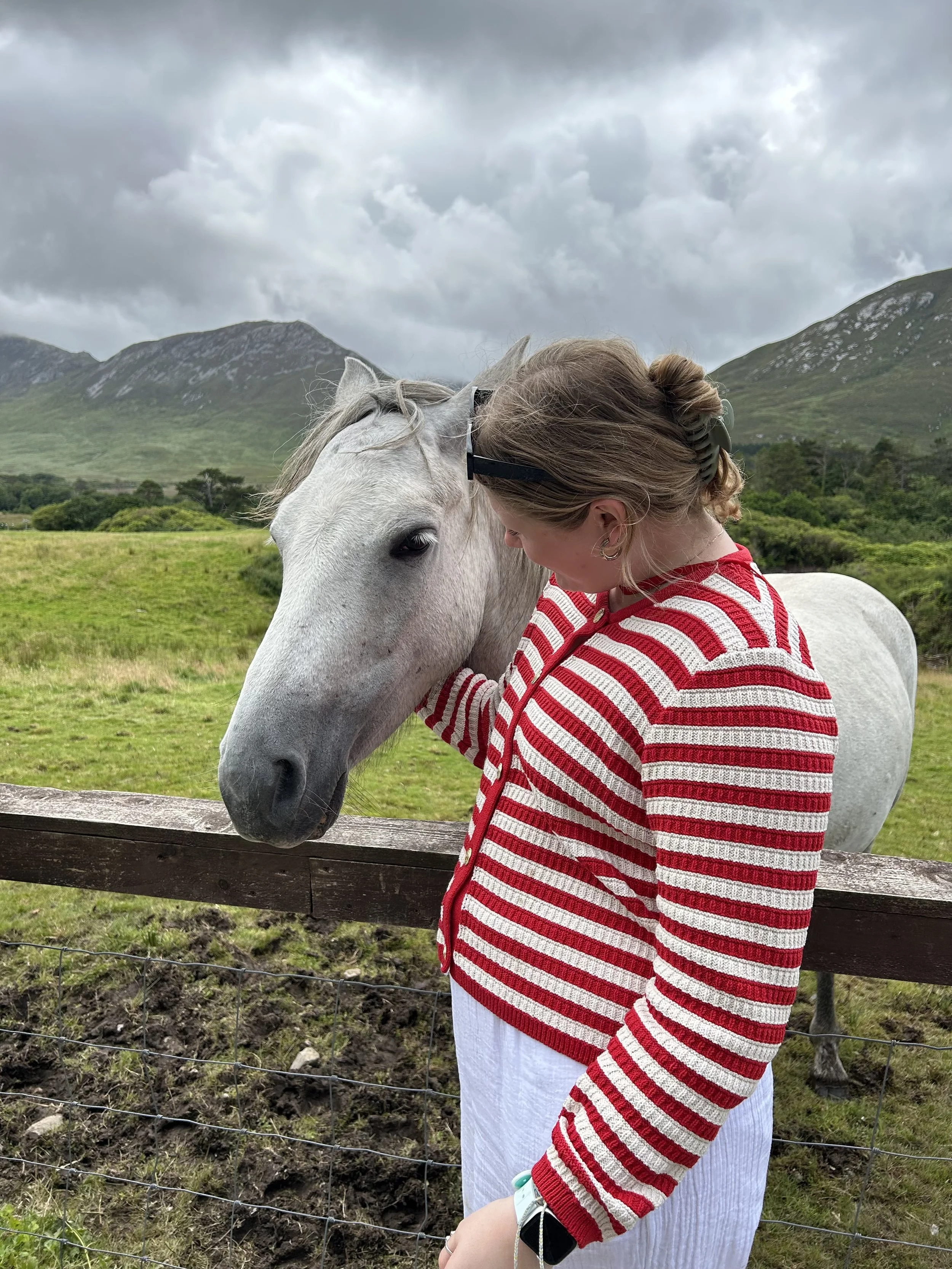 Petting Connemara ponies