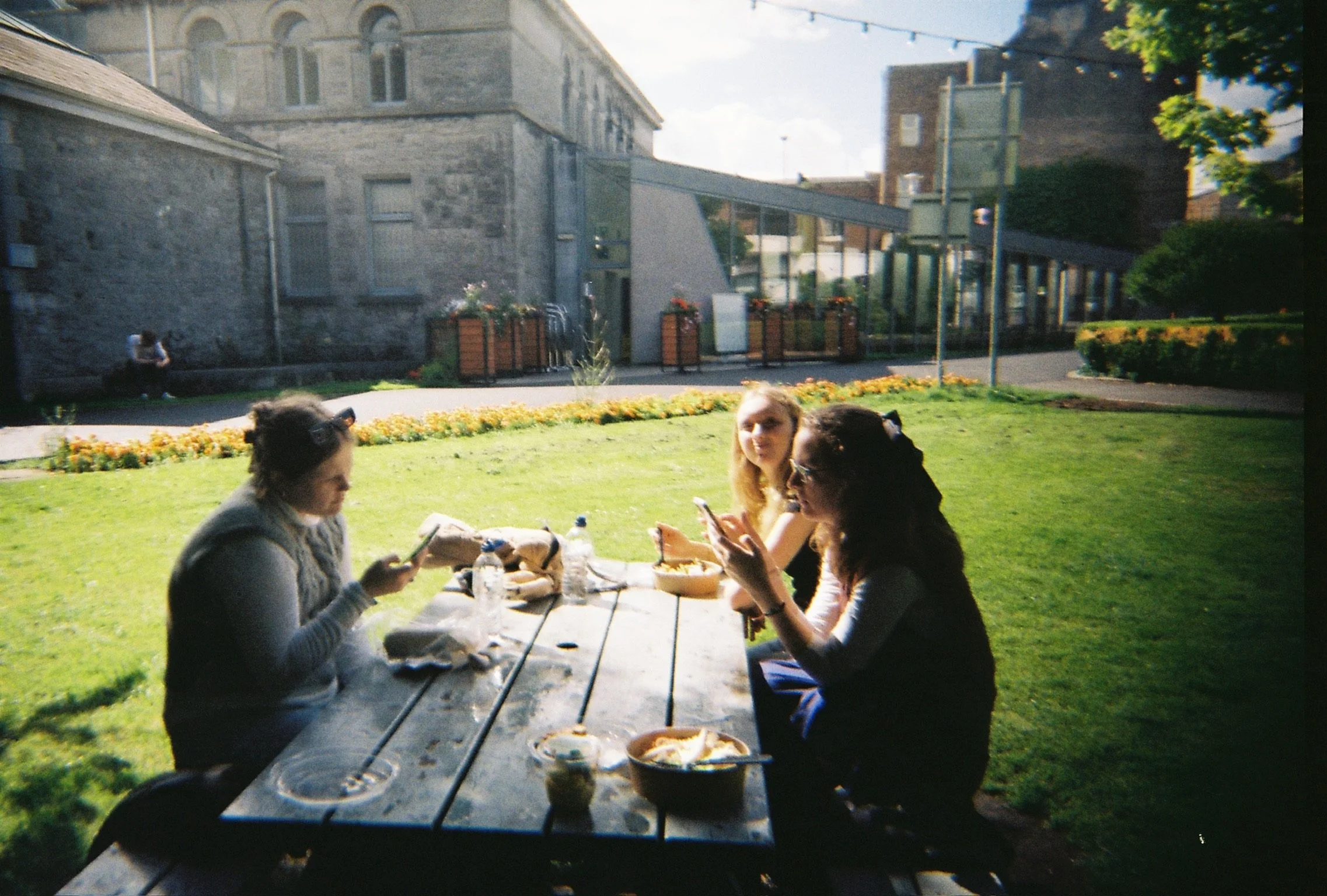 Picnic in Limerick