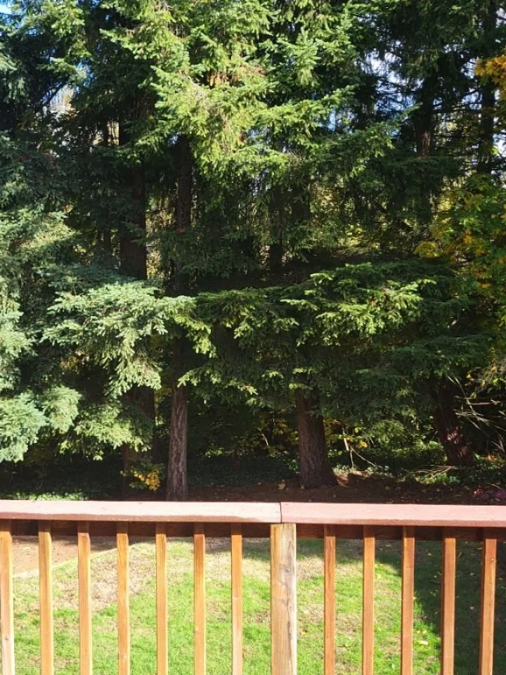 Open House with another amazing backyard!

🏡 4 bedrooms

🏡 2.5 bathrooms

🏡 $700,000