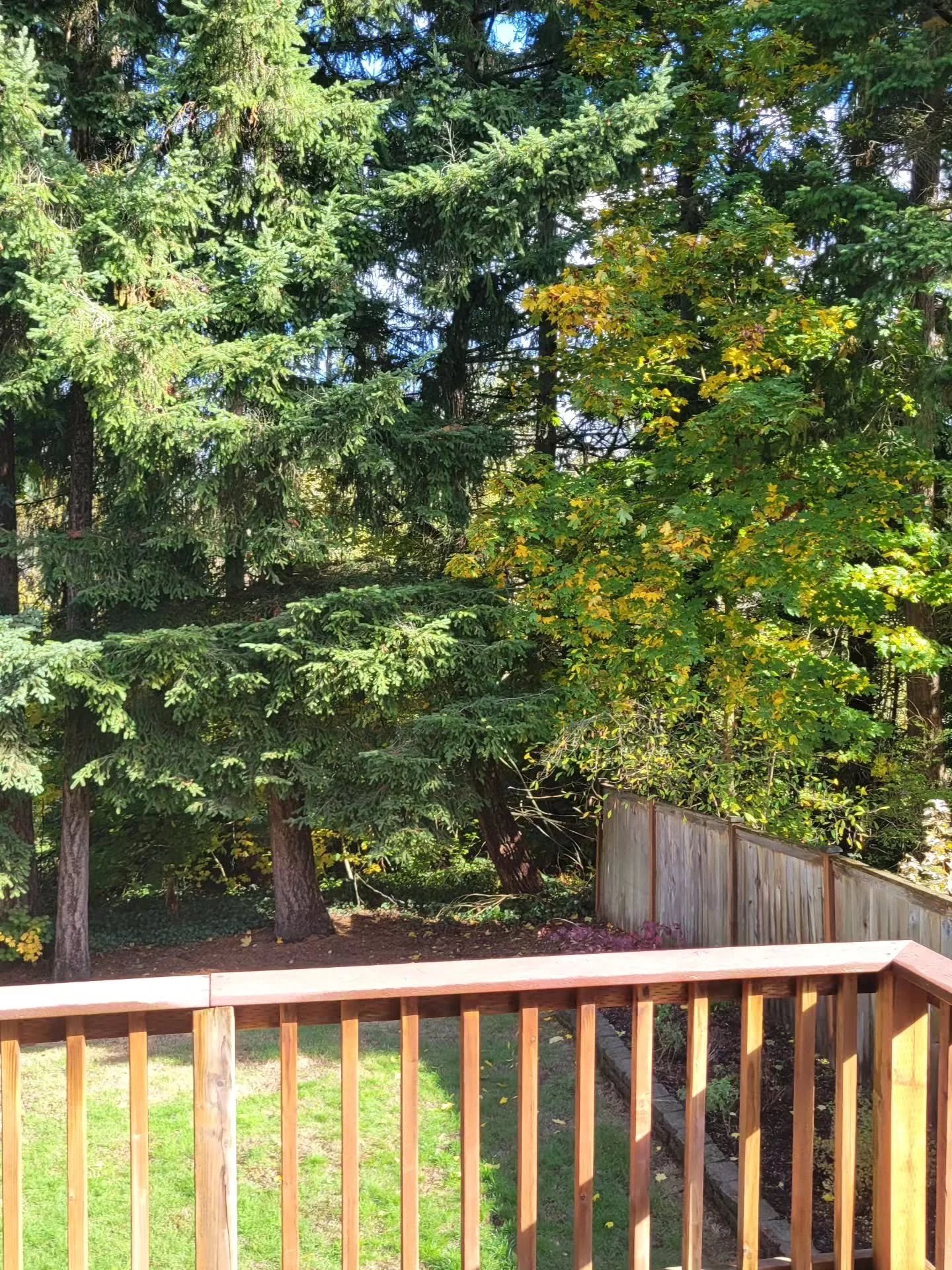 Open House in Candlewood Ridge! Another amazing backyard!

🏡 4 bedrooms

🏡  2.5 baths

🏡 $700,000