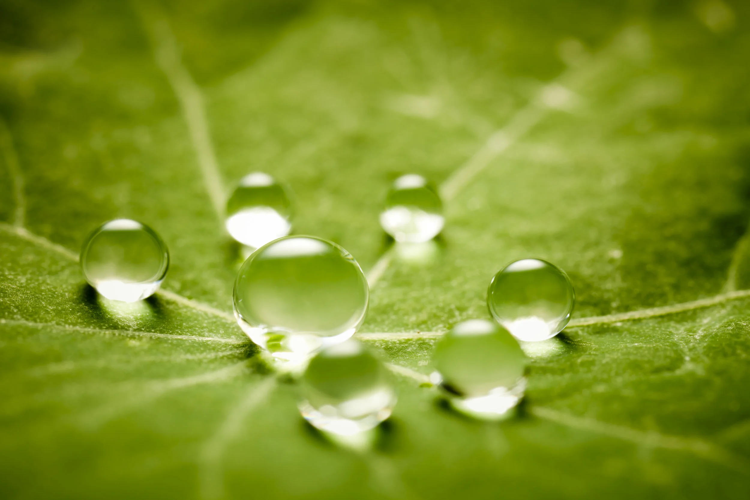 iStock-168415508_super.jpg