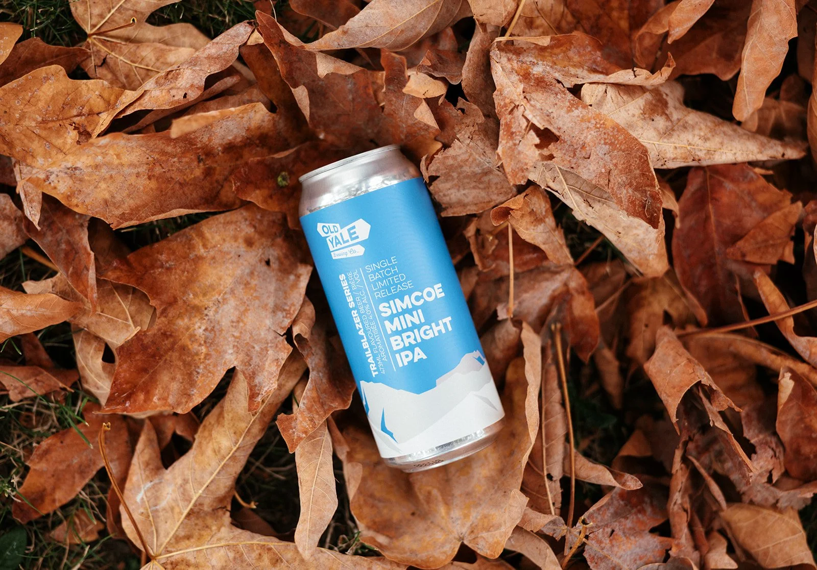 New Beer: Simcoe Mini BirGHt IPA