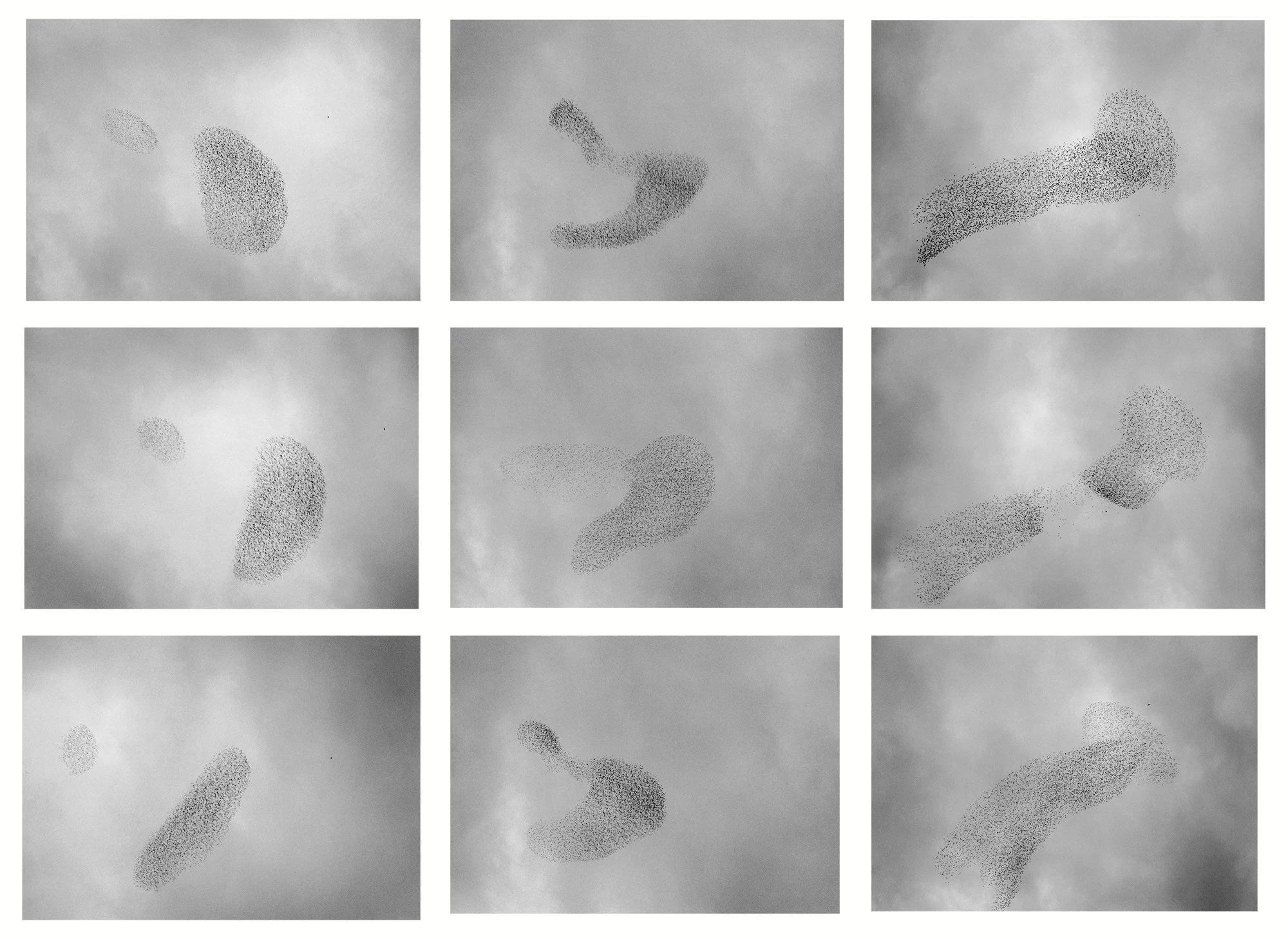 Six black dot images arranged in a 2x3 grid, showing the motion of a flock of birds changing formation against a cloudy sky background.