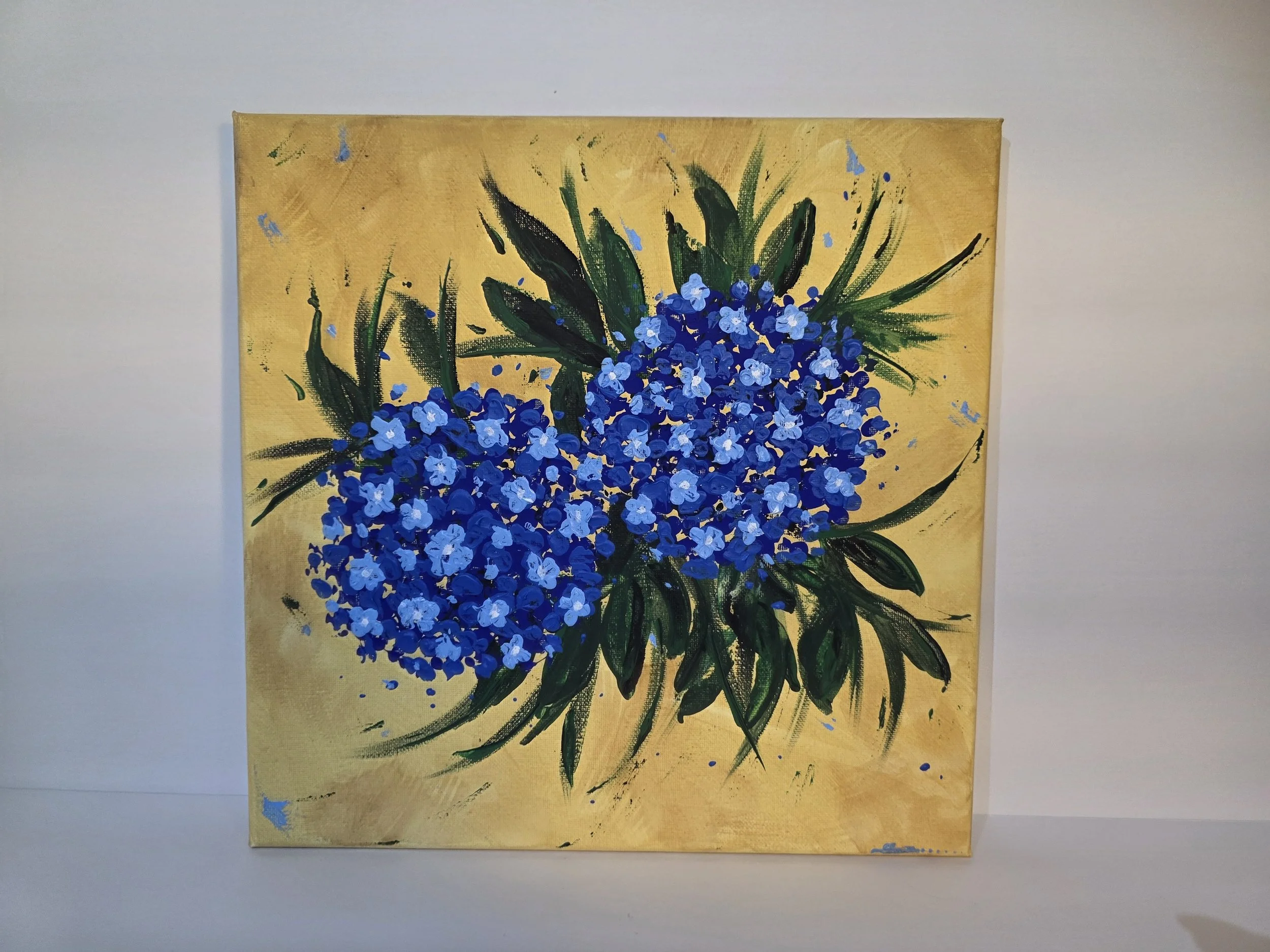 Hydrangea