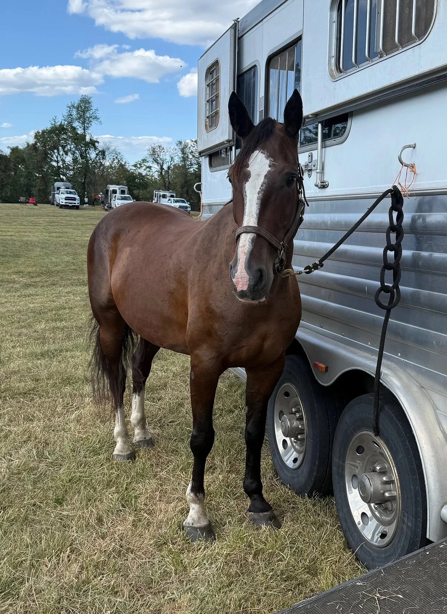 tenacity trailer pic.jpeg