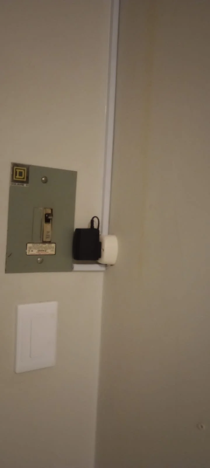 WhatsApp Image 2025-01-10 at 1.24.06 PM.jpeg