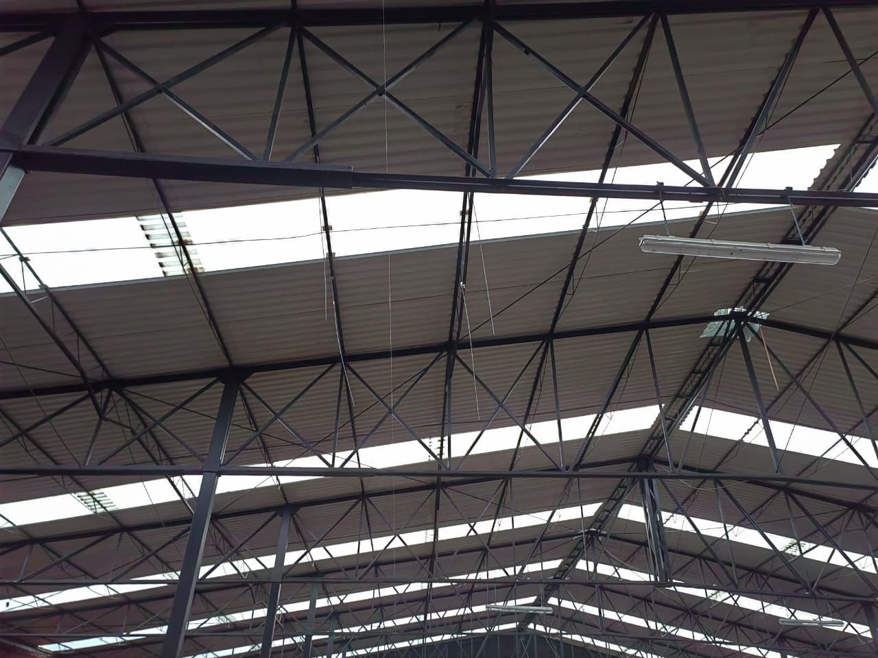 WhatsApp Image 2025-01-10 at 1.24.08 PM (1).jpeg