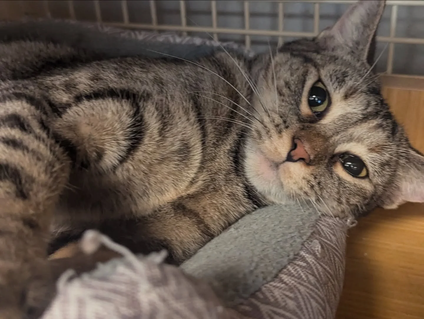 From the Founder: What We Learned from Our First Fundraising Campaign