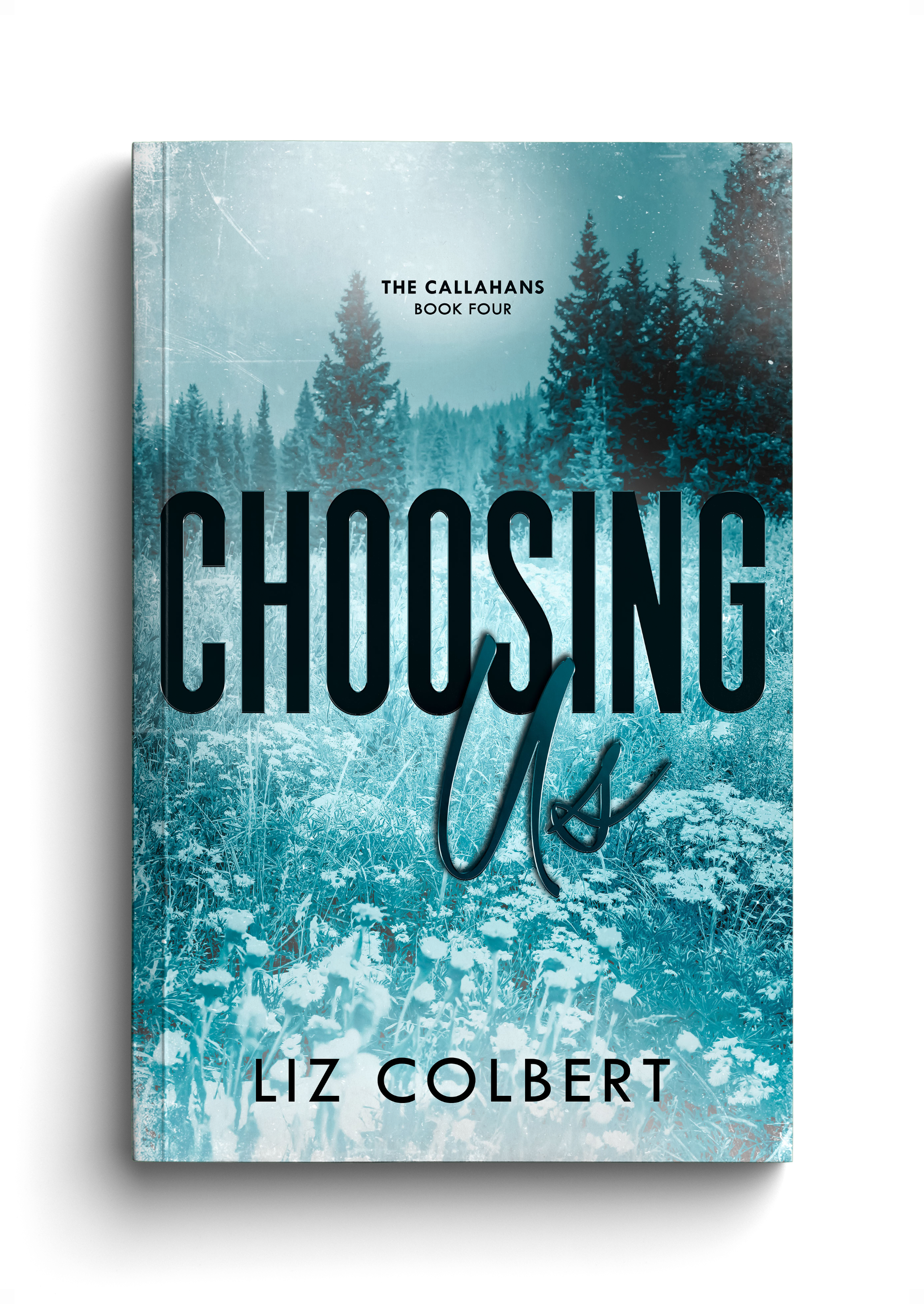 Choosing Us Book.png