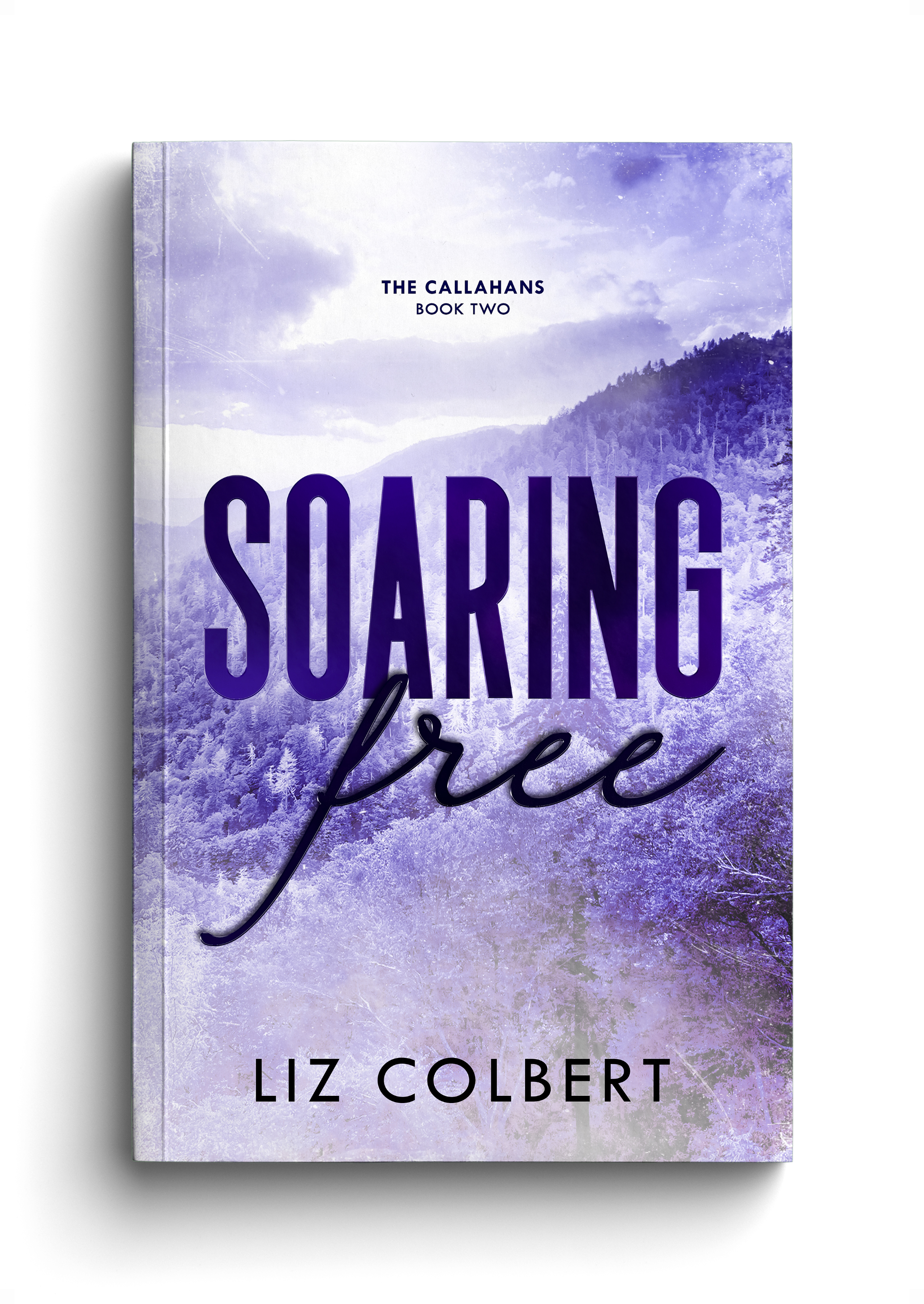 Soaring Free Book.png