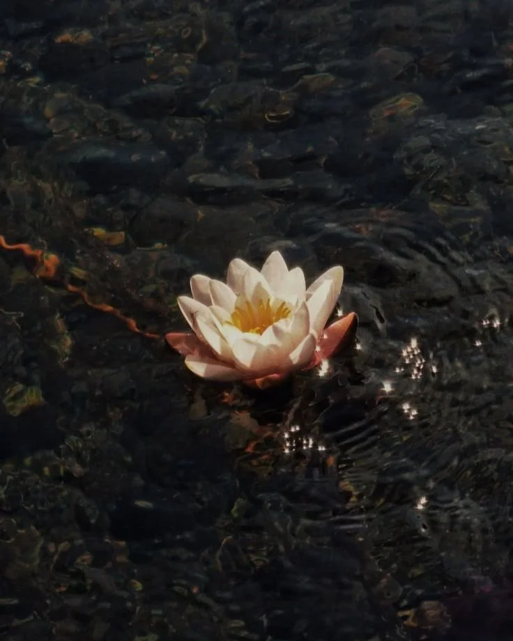 Byron Bay doula for ritual and spiritual birth preparation, post partum support and online guidance.