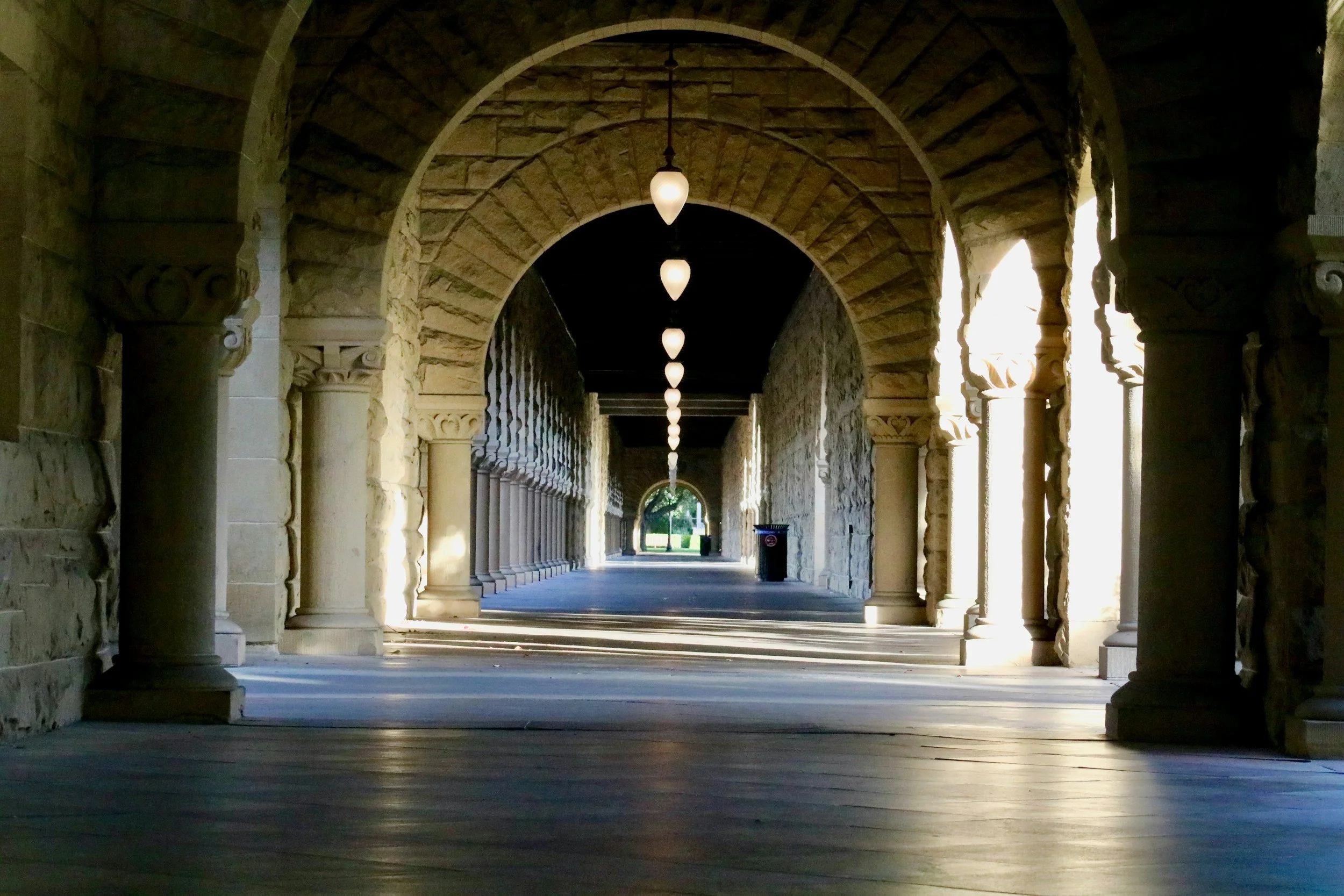 Library row of books on shelves