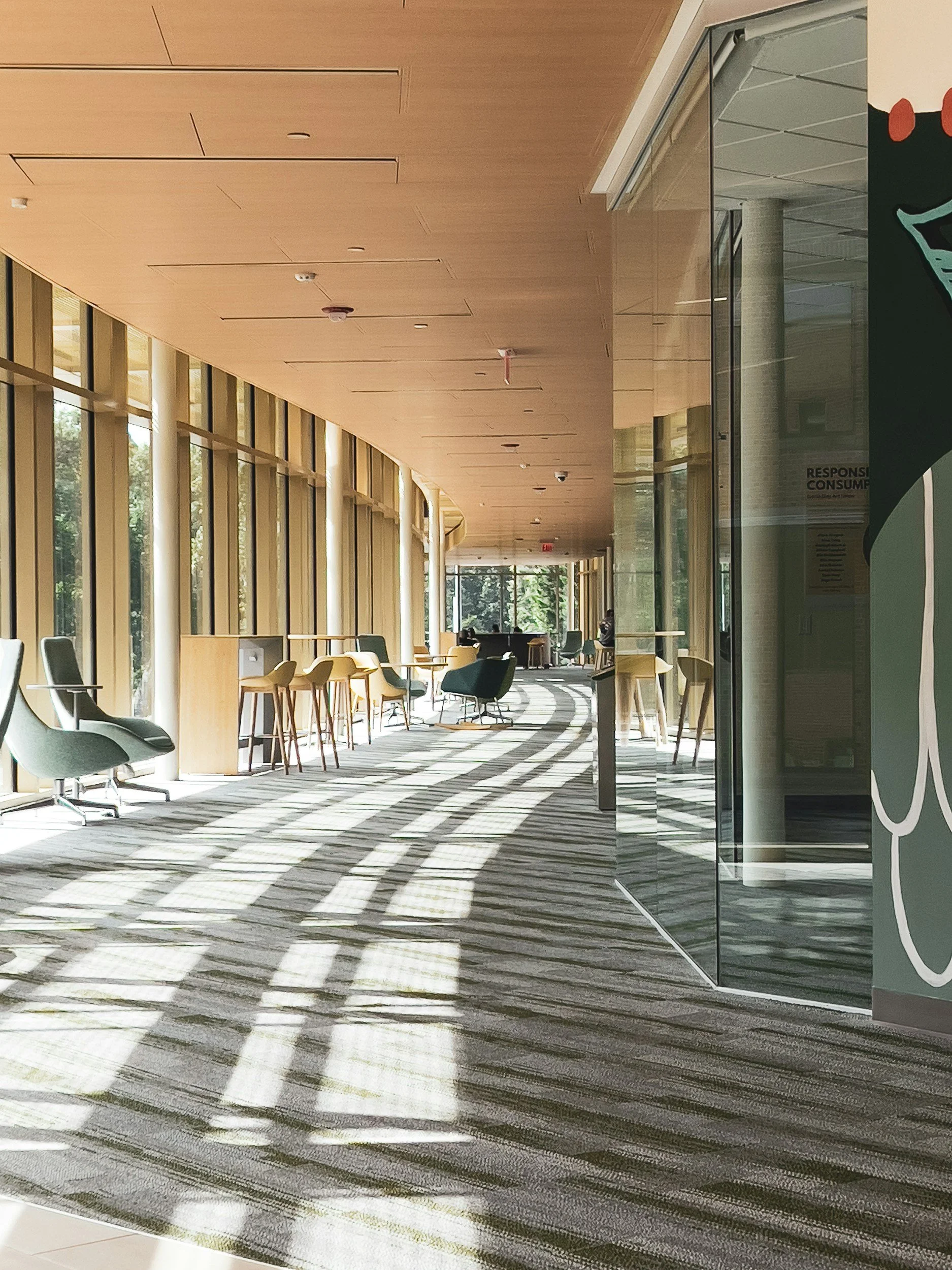 Library row of books on shelves