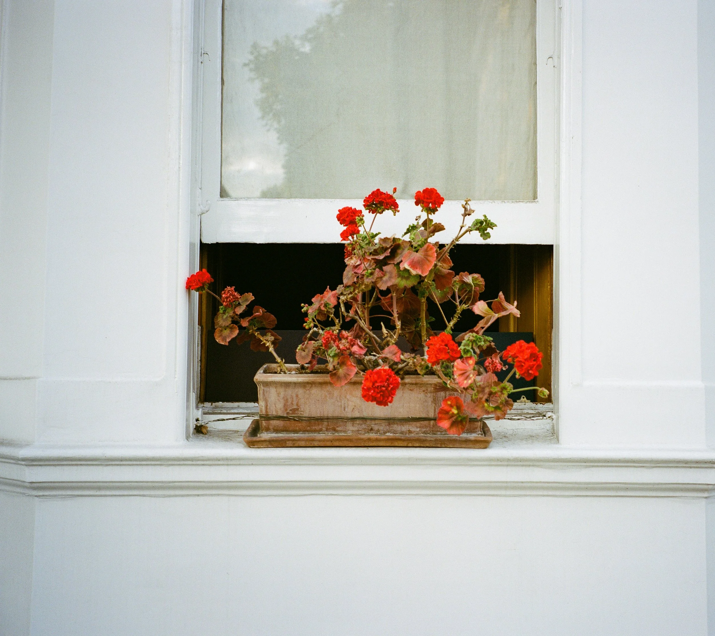 2492_0005.jpg