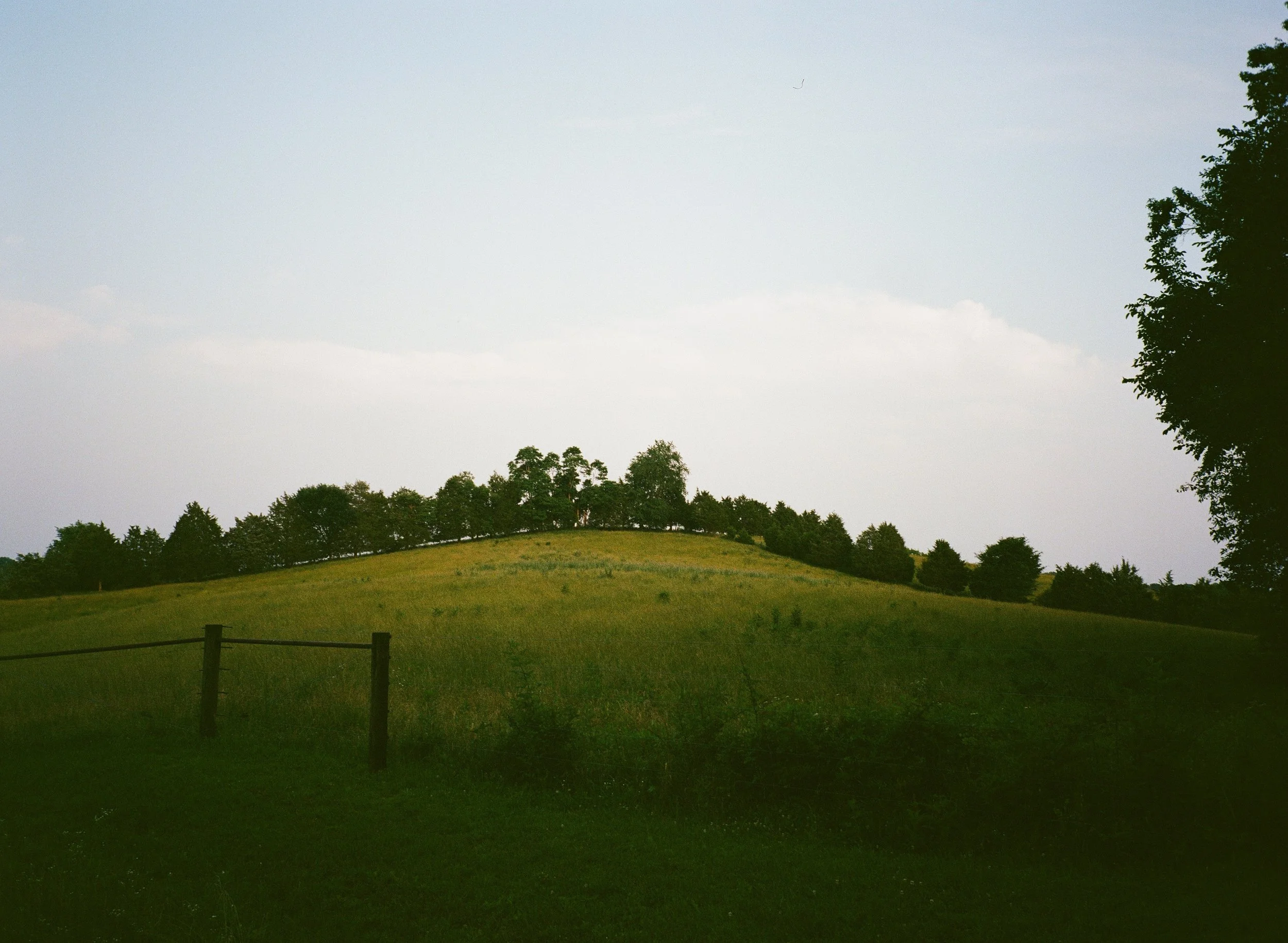5535_0014.jpg