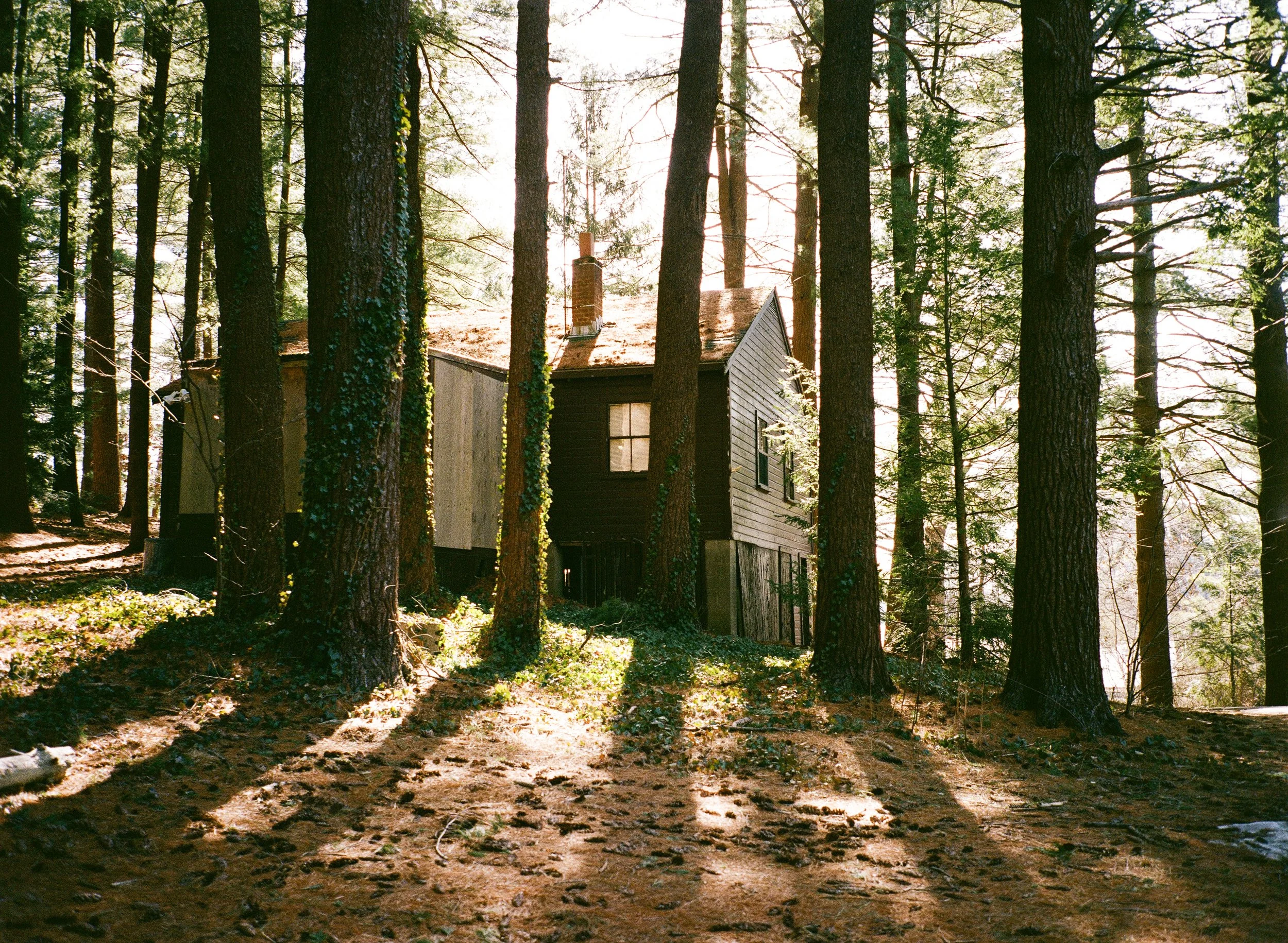 7300_0007.jpg