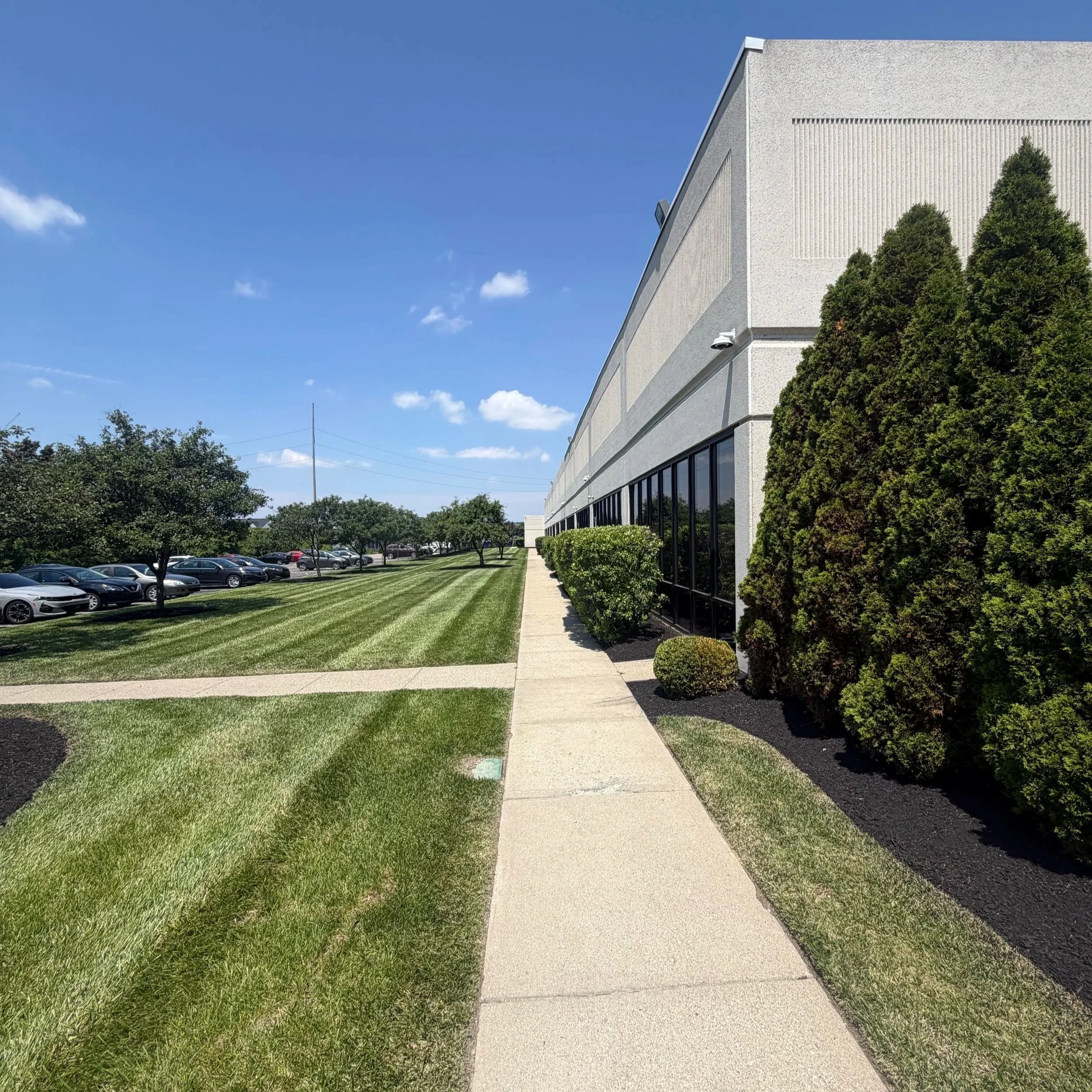 Sidewalk leading past a large building with glass windows, with manicured grass and bushes alongside, under a clear blue sky.