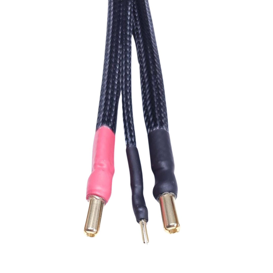 1s/2s Fully Protected Balance Charge Lead w/ 5mm bullet connector 24" 10 awg