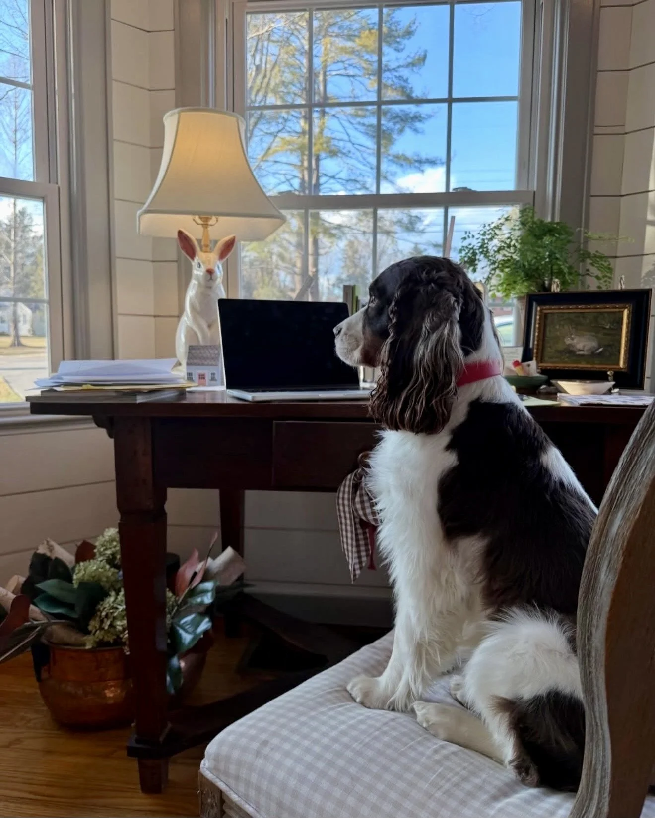 From dream to design: the first year of millie jane interiors