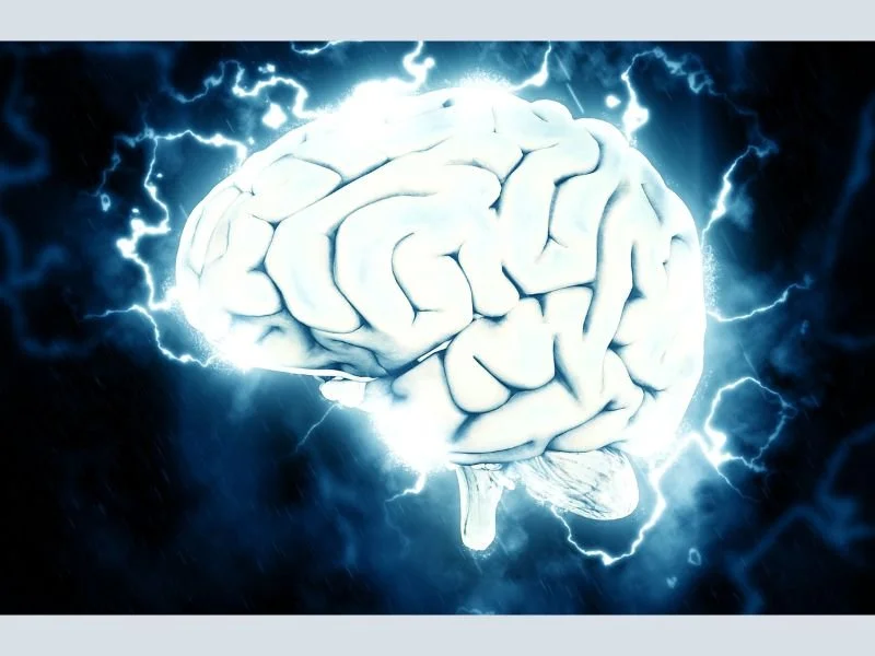 Study: Neurological Rehabilitation and Functional Outcomes Post-Traumatic Brain Injury (2020)