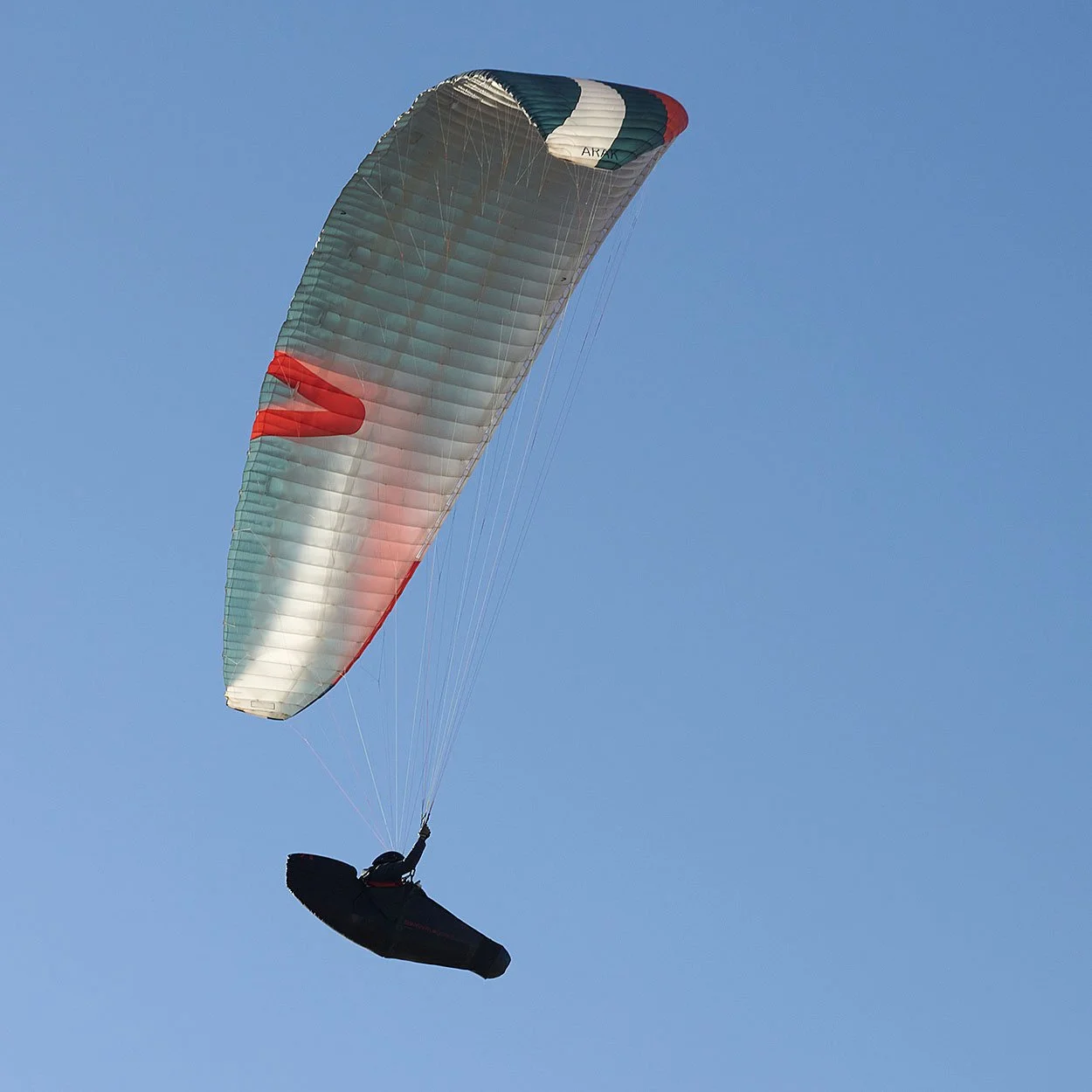 Paraglider in flight.jpg