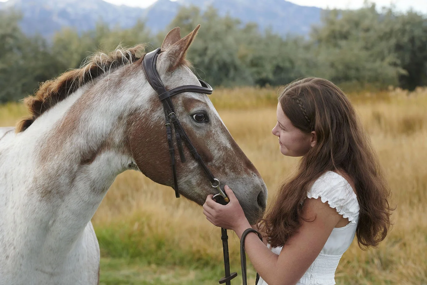 beautiful girl and her horse
