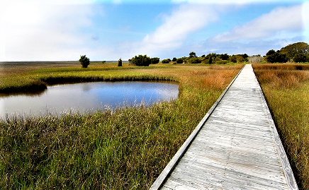 Hike at Ft. Fisher State Park Sept 2025
