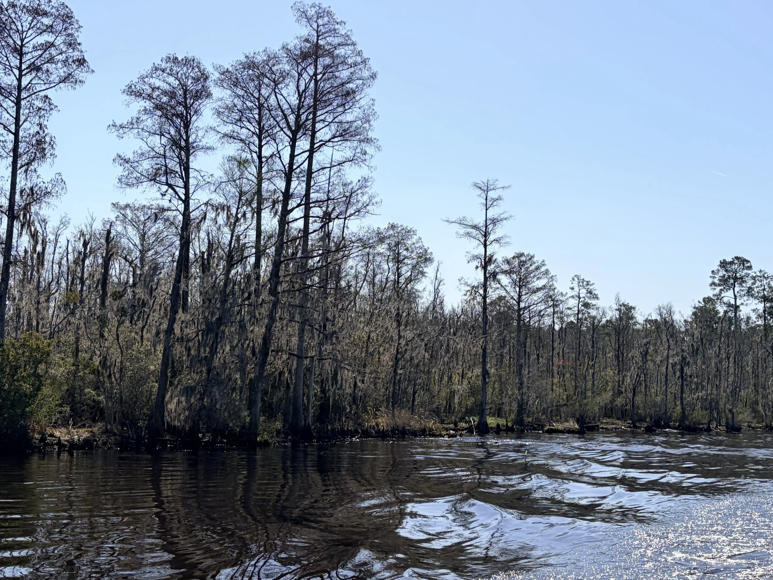 PFAS, 1, 4, Dioxane Proposed New Rules