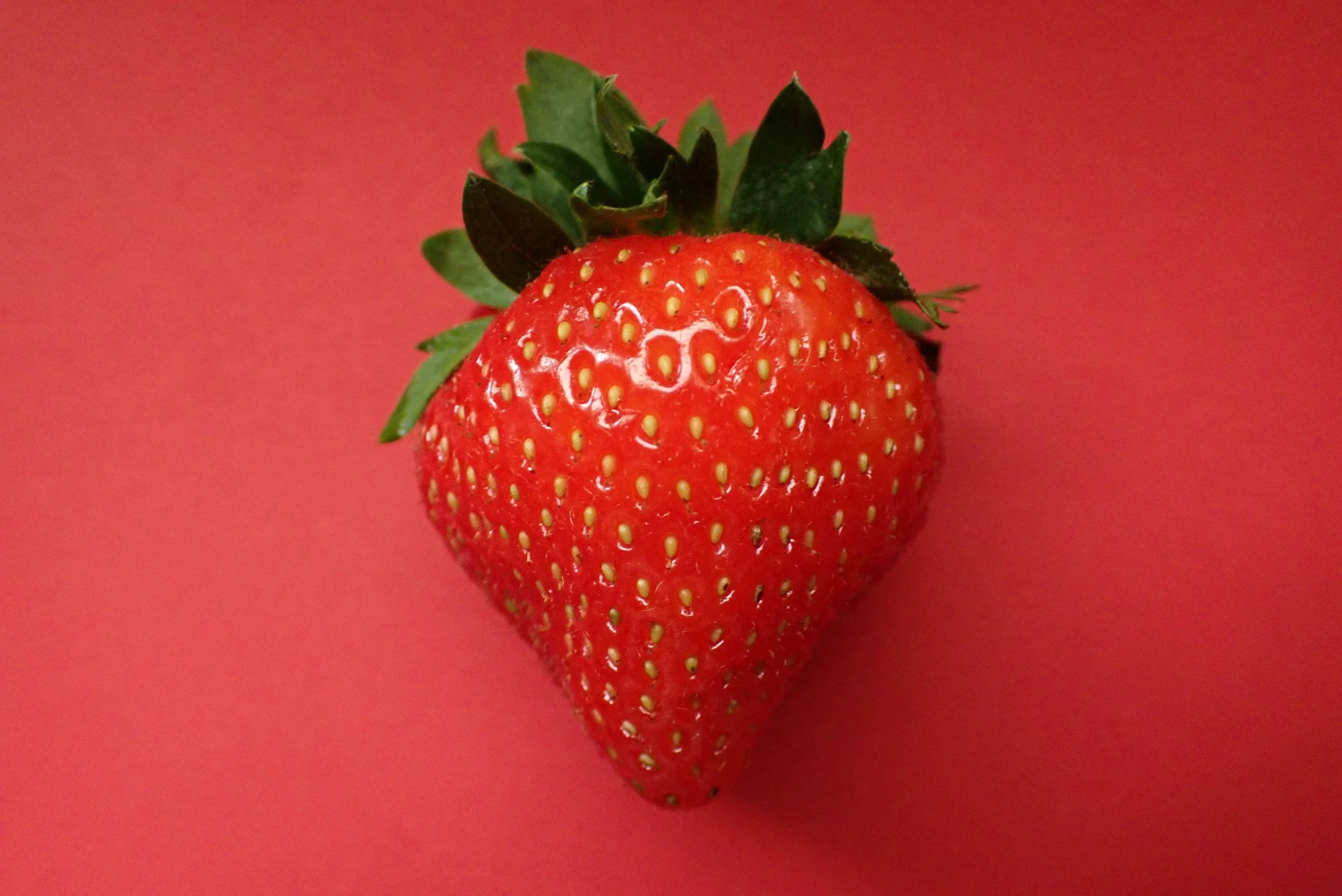 Is the Latest Release of OpenAI’s Strawberry as Sweet as It’s Set Out To Be?