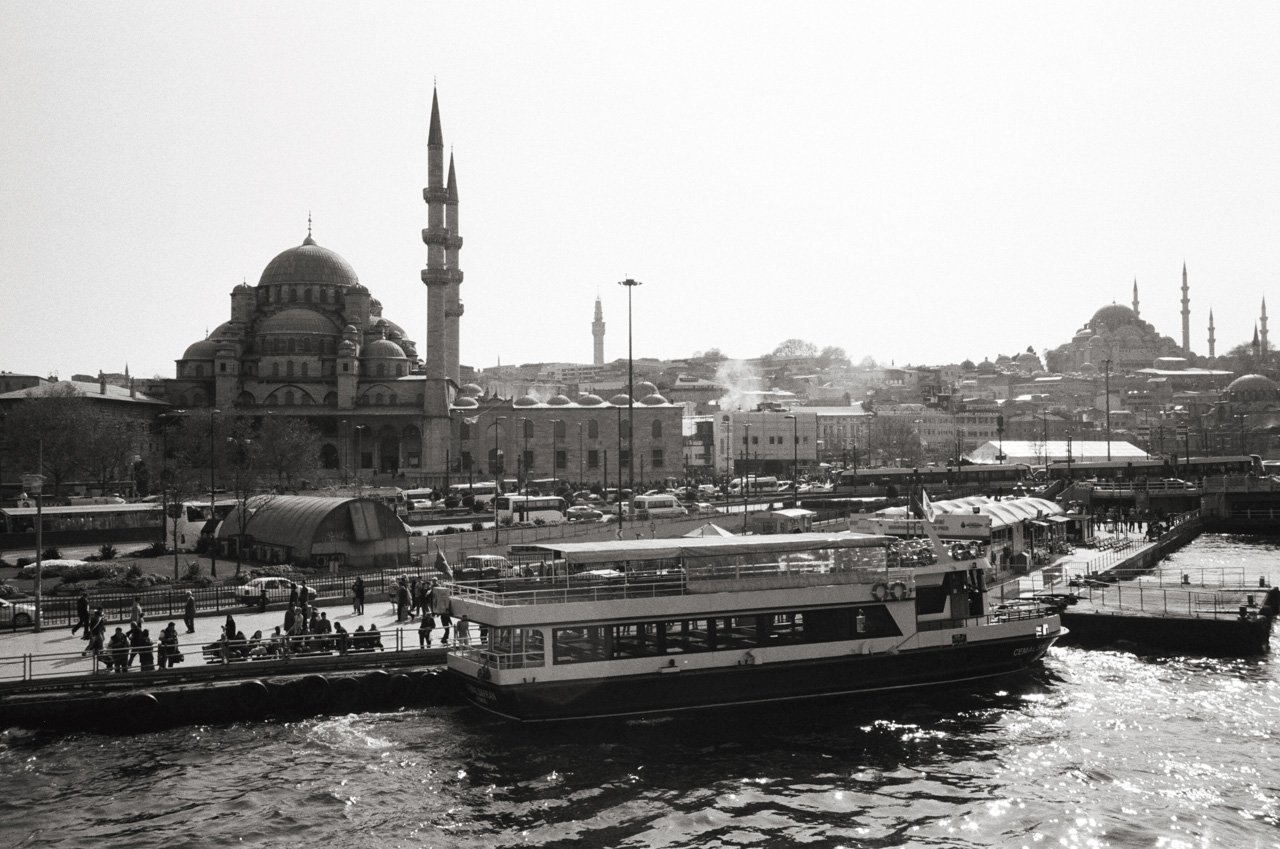 55950013.jpg