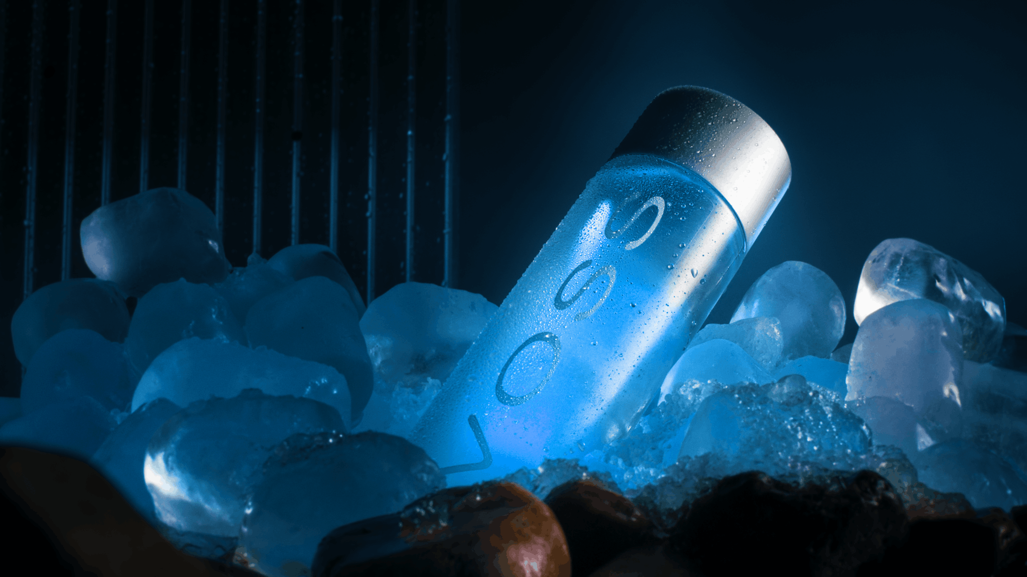 VOSS