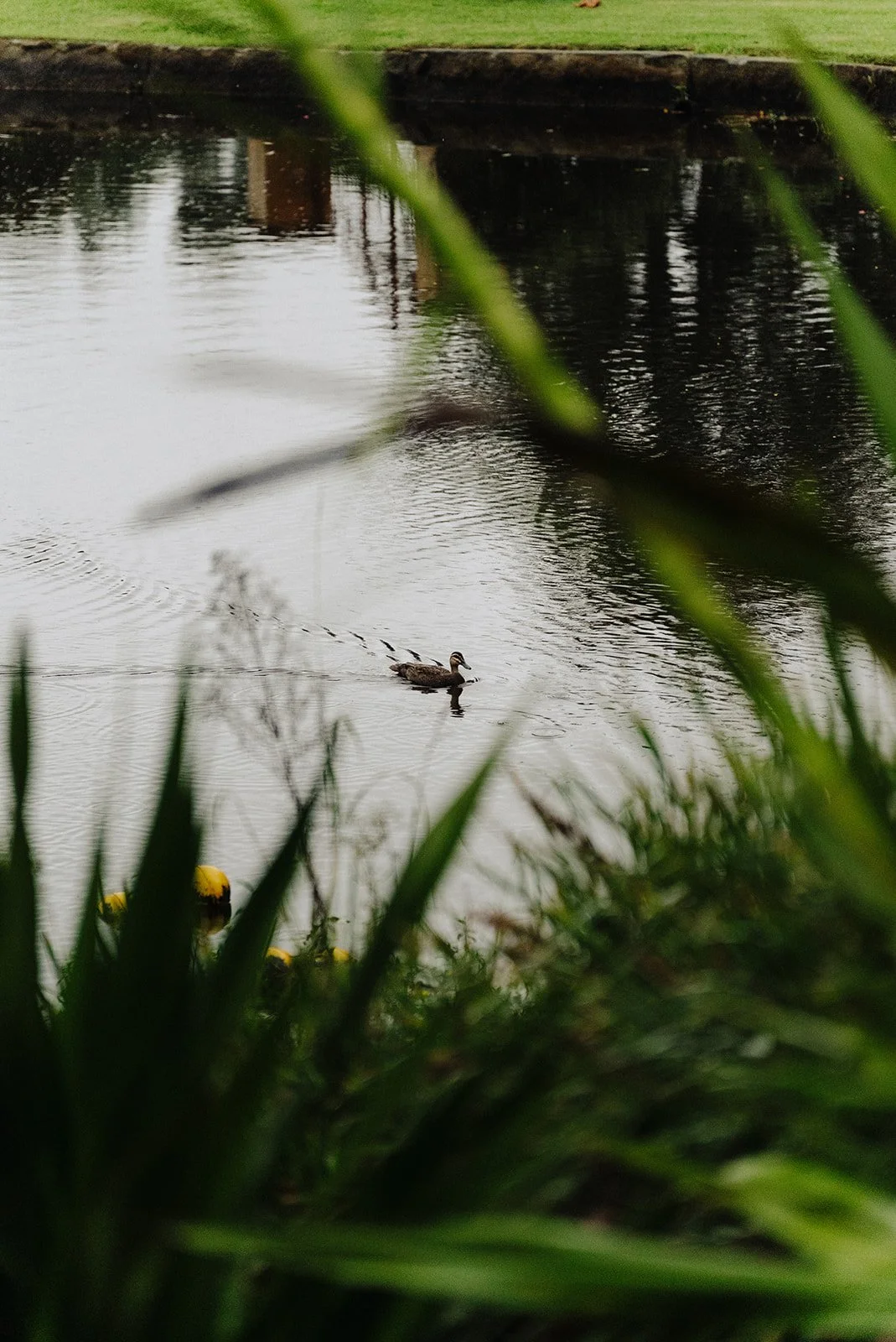 Jess and Andy-377_websize.jpg