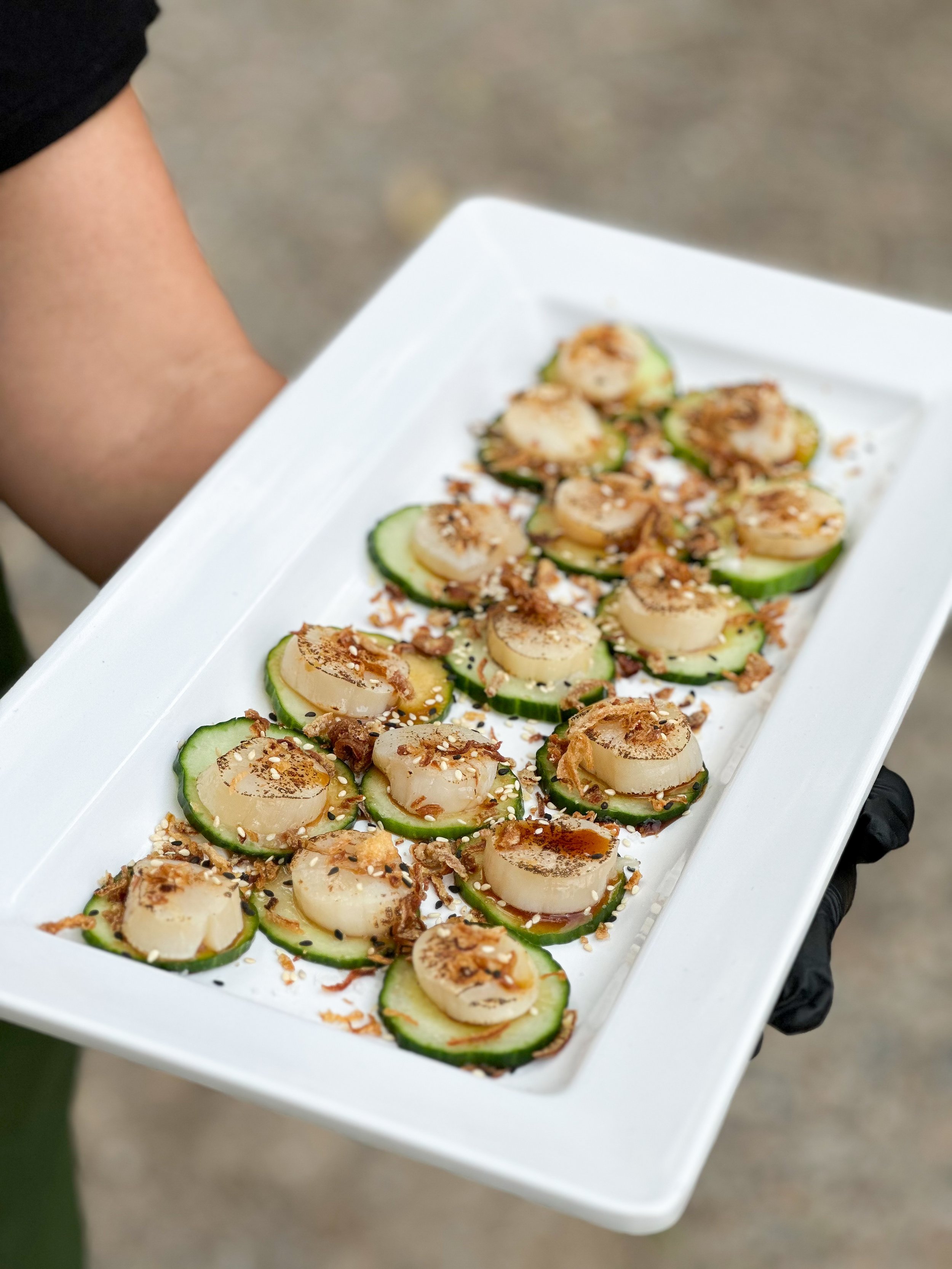 Scallop 1.jpg