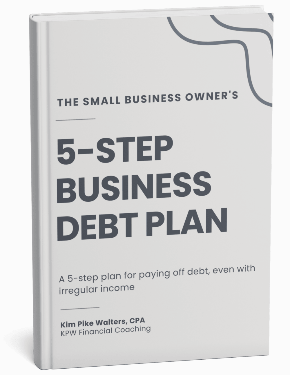 5-Step Business Debt Plan 3D Cover