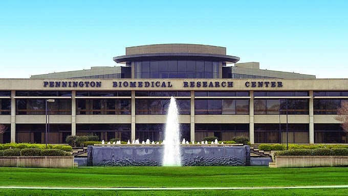 $1.2M Grant awarded to LSU LCMC Health Cancer Center to help break down barriers to cervical cancer prevention