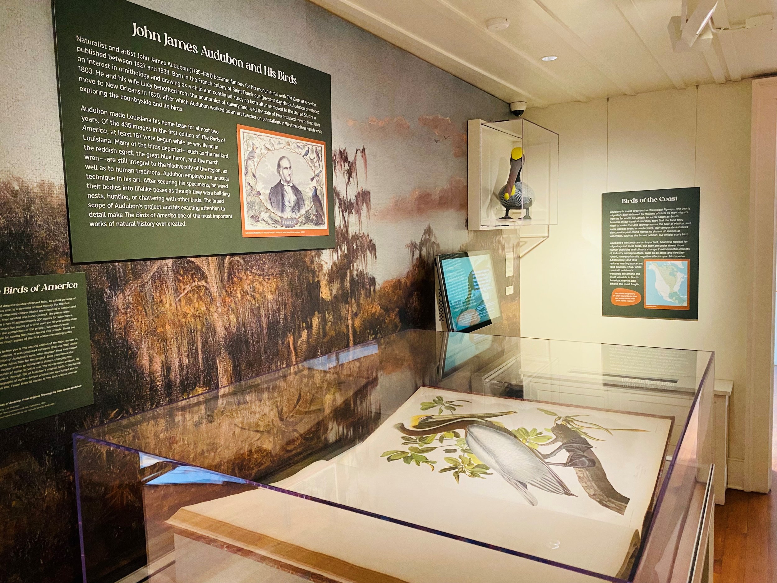 New exhibit explores Louisiana’s coastal environment and culture