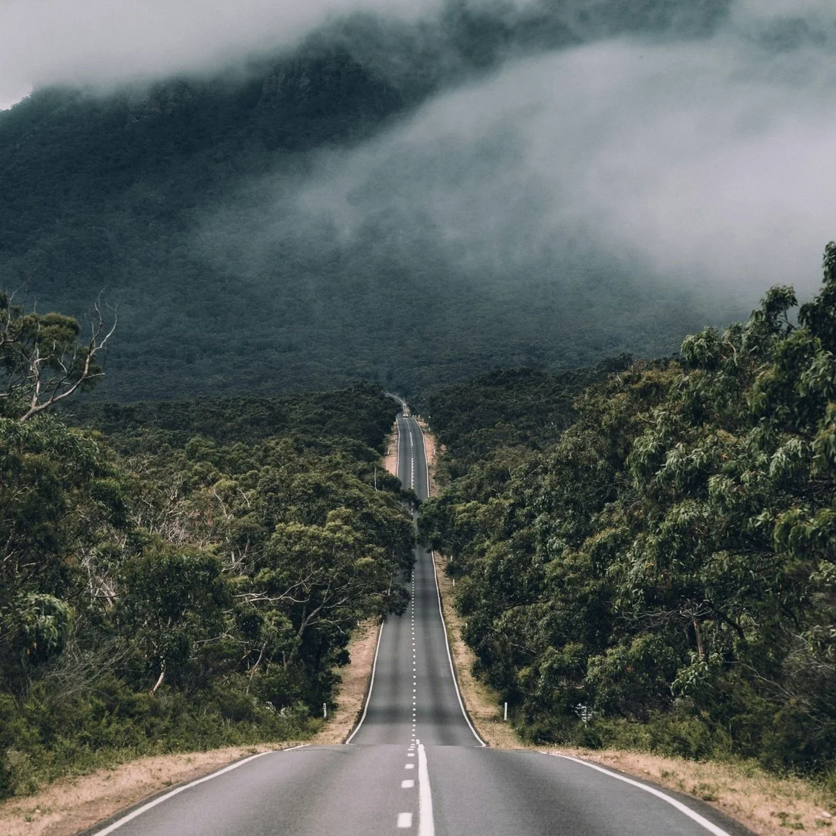 Reichstein Foundation partners with Australian Impact Investments and Australian Ethical