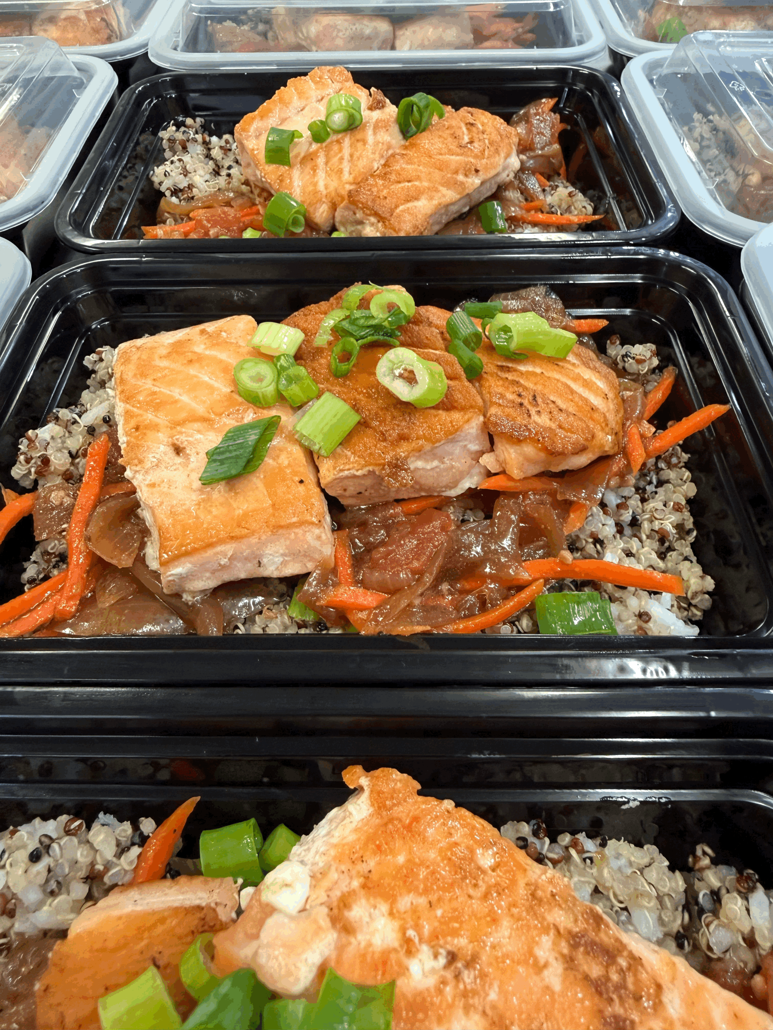 (Oahu) Savory Salmon w/ Quinoa Rice