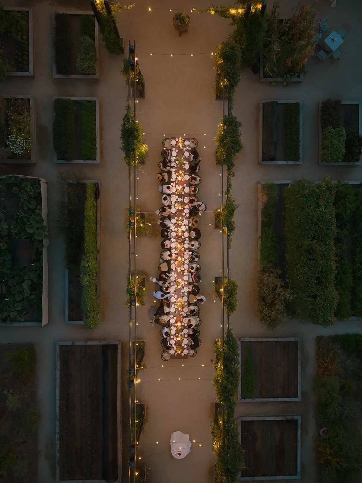 Stanly Ranch wedding